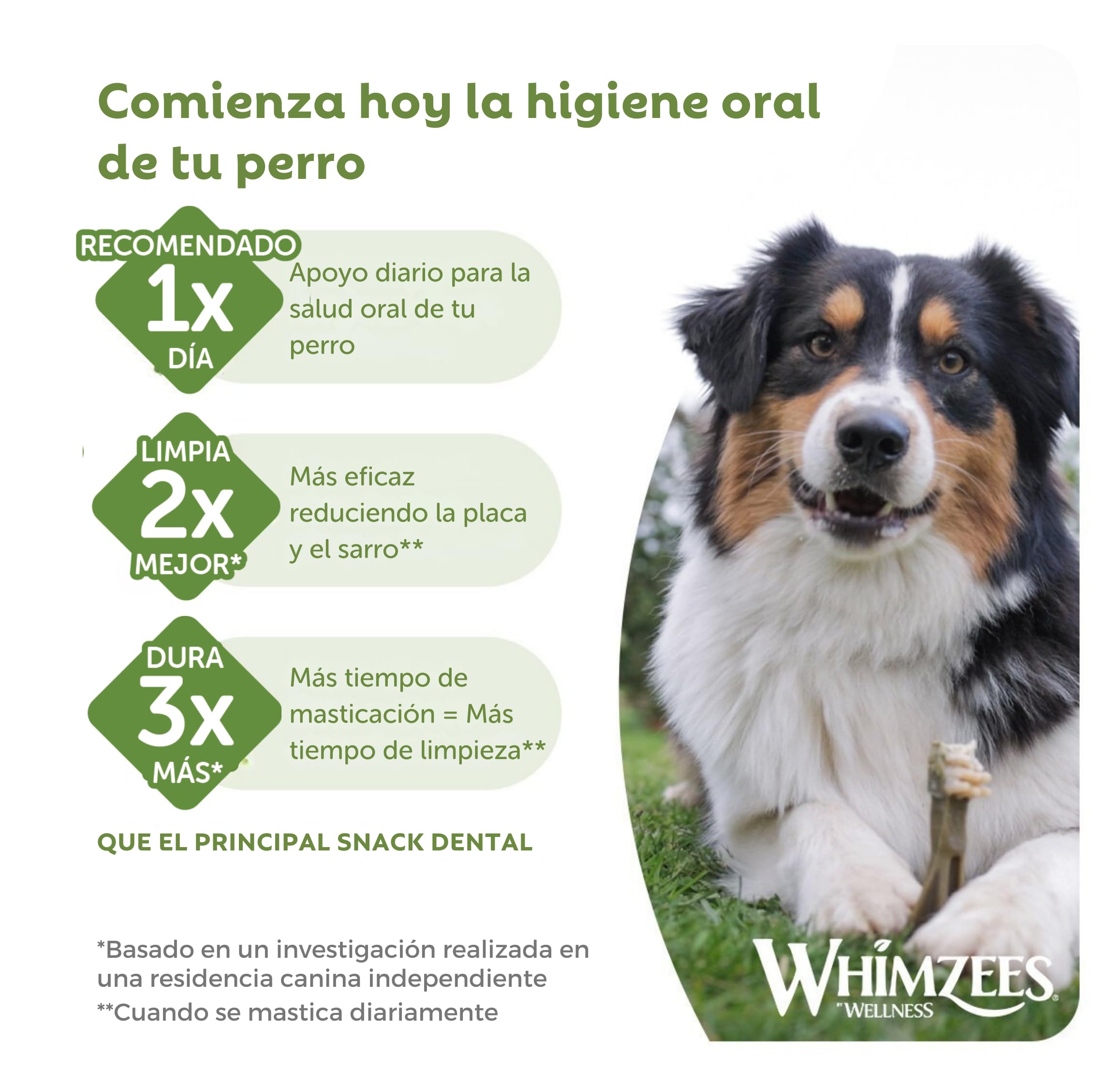 WHIMZEES Cepillos de Dientes L, Caja Mensual, 30 Piezas – Talla L, Golosinas para Perros Grandes, Naturales y Sin Cereales, Vegetarianas, Sin Azúcares Añadidos