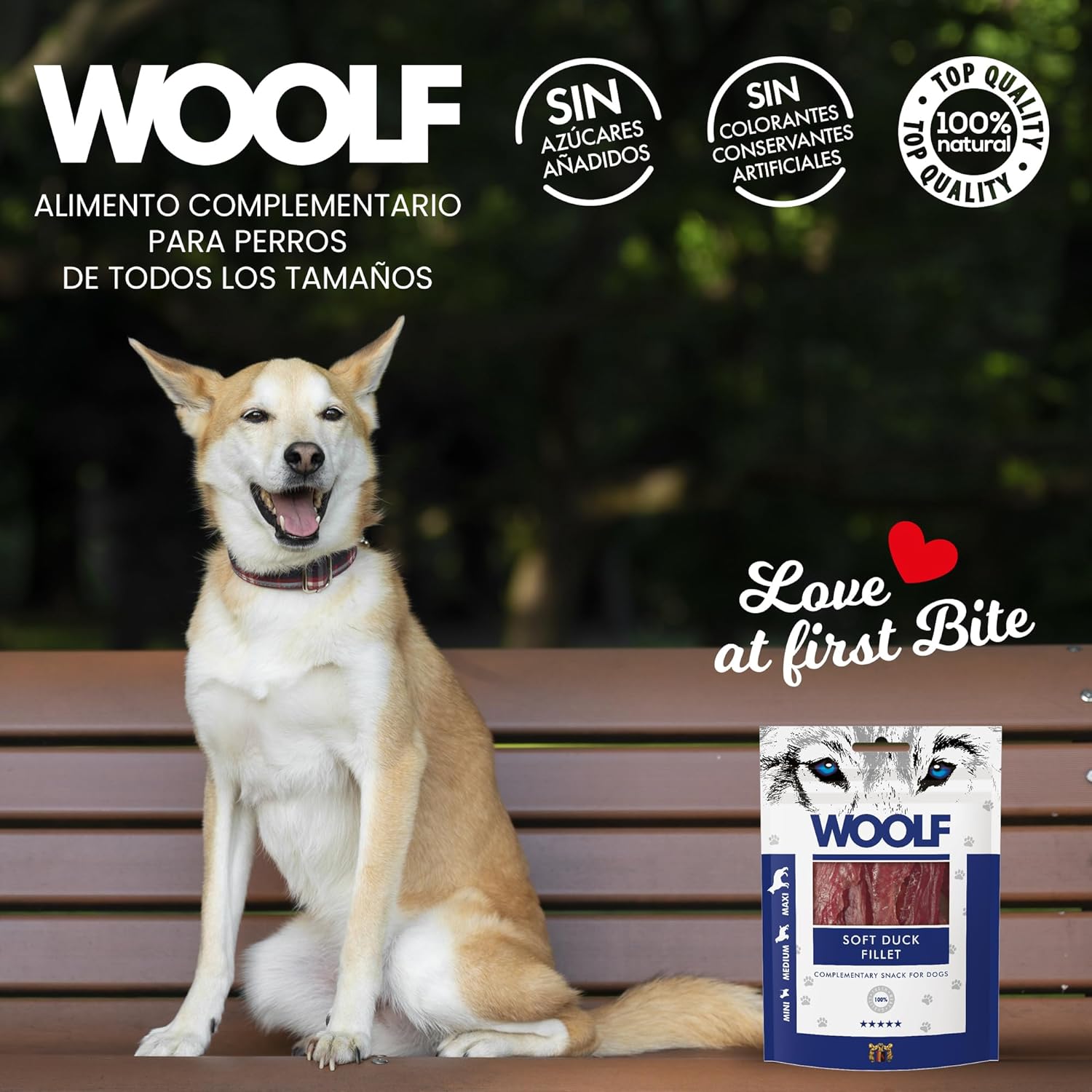 81 SwFYsIcL. AC SL1500