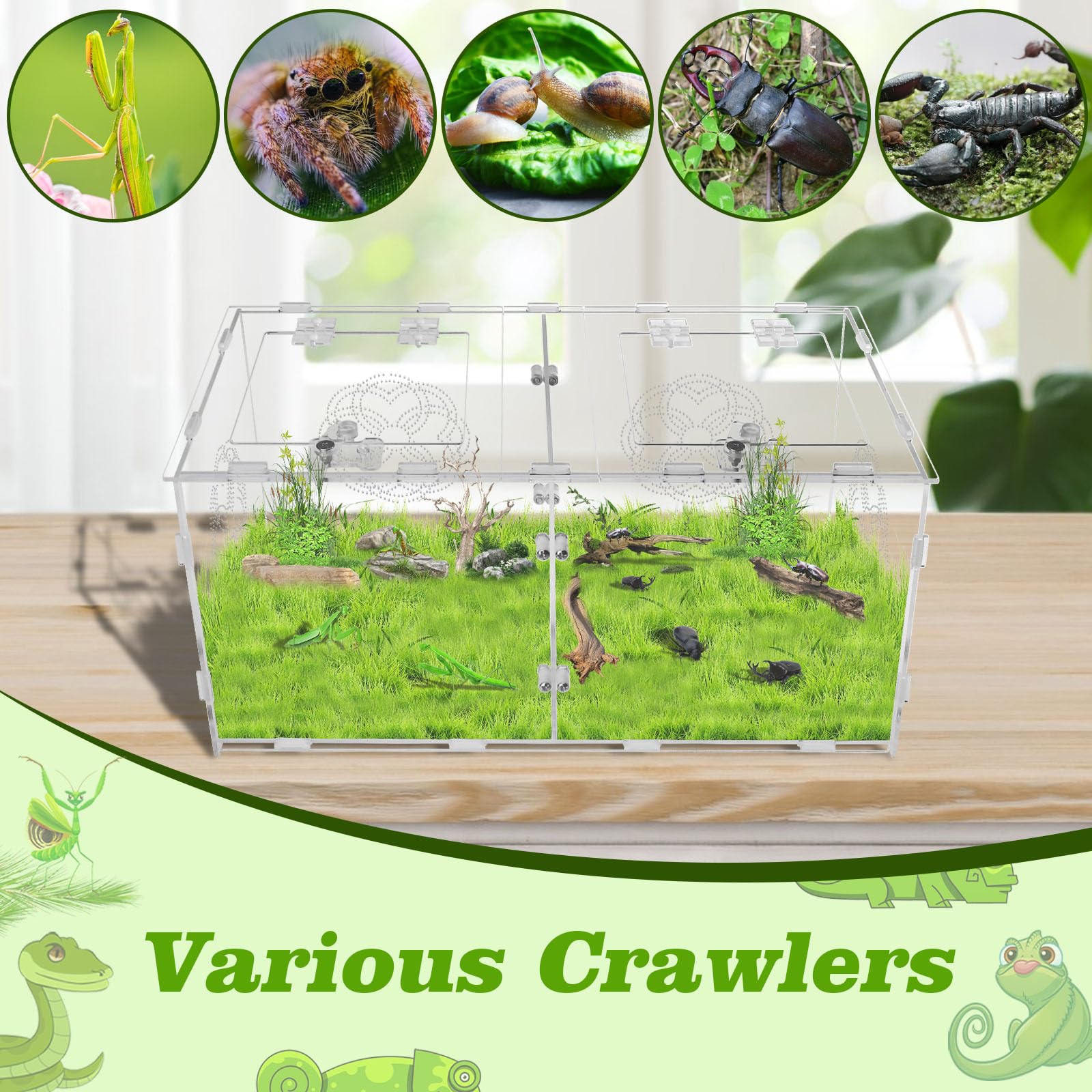 Akrylowa obudowa pająka z podwójnymi przegródkami, terrarium dla gadów, akwarium, zbiornik do hodowli gadów, pająków, węża, jaszczurki