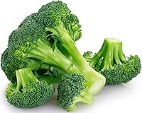 RDRSeeds Waltham 29 Broccoli Seeds - 250 Heirloom Non-GMO USA Grown for Planting Sprouts Microgreens
