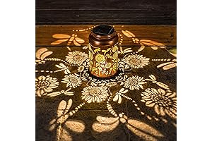 Solar Lanterns Dragonfly Lights, Liven Up Your Garden