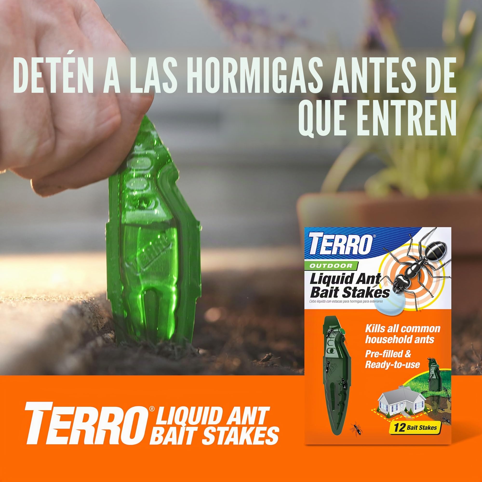 TERRO Cebos líquidos para Hormigas para Interiores con Tiras Adhesivas para Cebo Discreto, Trampa para Hormigas Terro y estación de Cebo, Paquete de 4 Unidades, T334B
