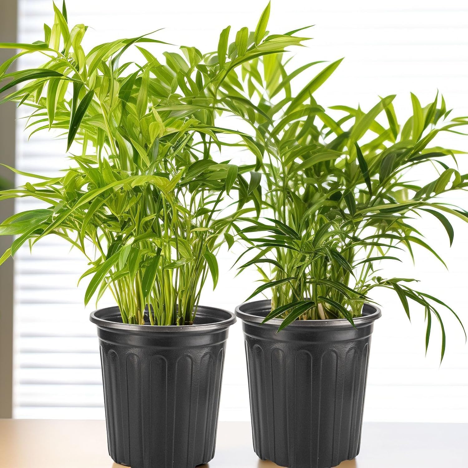 Flexible Pflanztöpfe, 12 Stück, 1,8 l, weicher Kunststoff, Setzlingtöpfe, Samen-Start-Topf, Blumenpflanzenbehälter für Sukkulenten, Stecklinge, Umpflanzen, Setzlinge – Schwarz