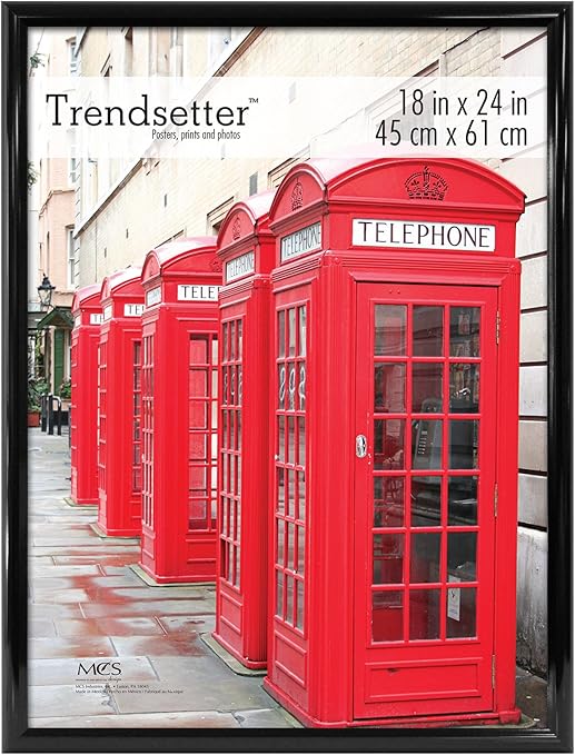 MCS 18x24 Inch Trendsetter Poster Frame