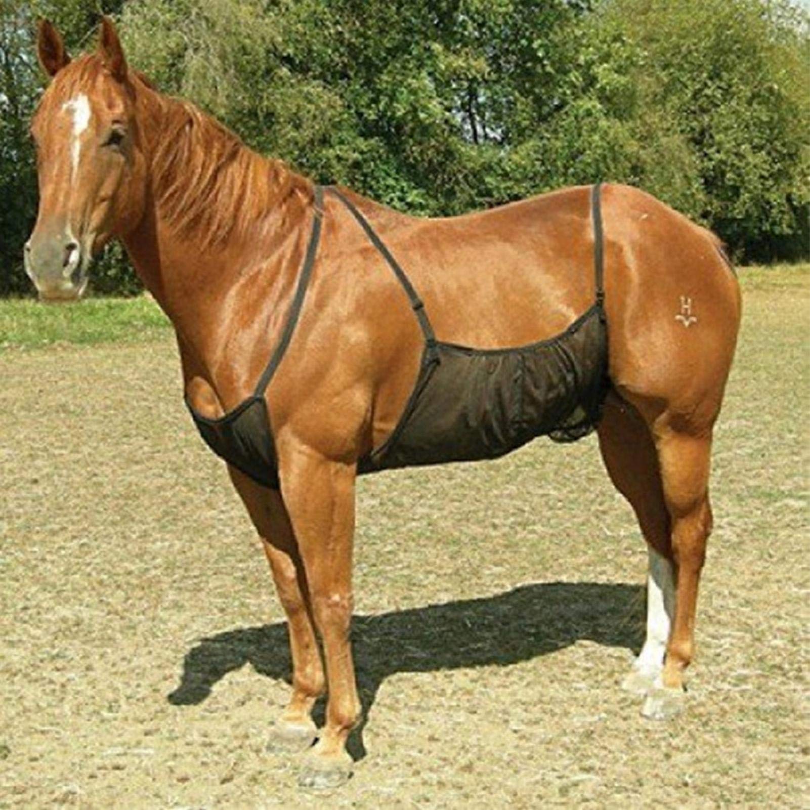 Best Horse Fly Rug Top Picks and Expert Guide for 2024 OwnTheHorse