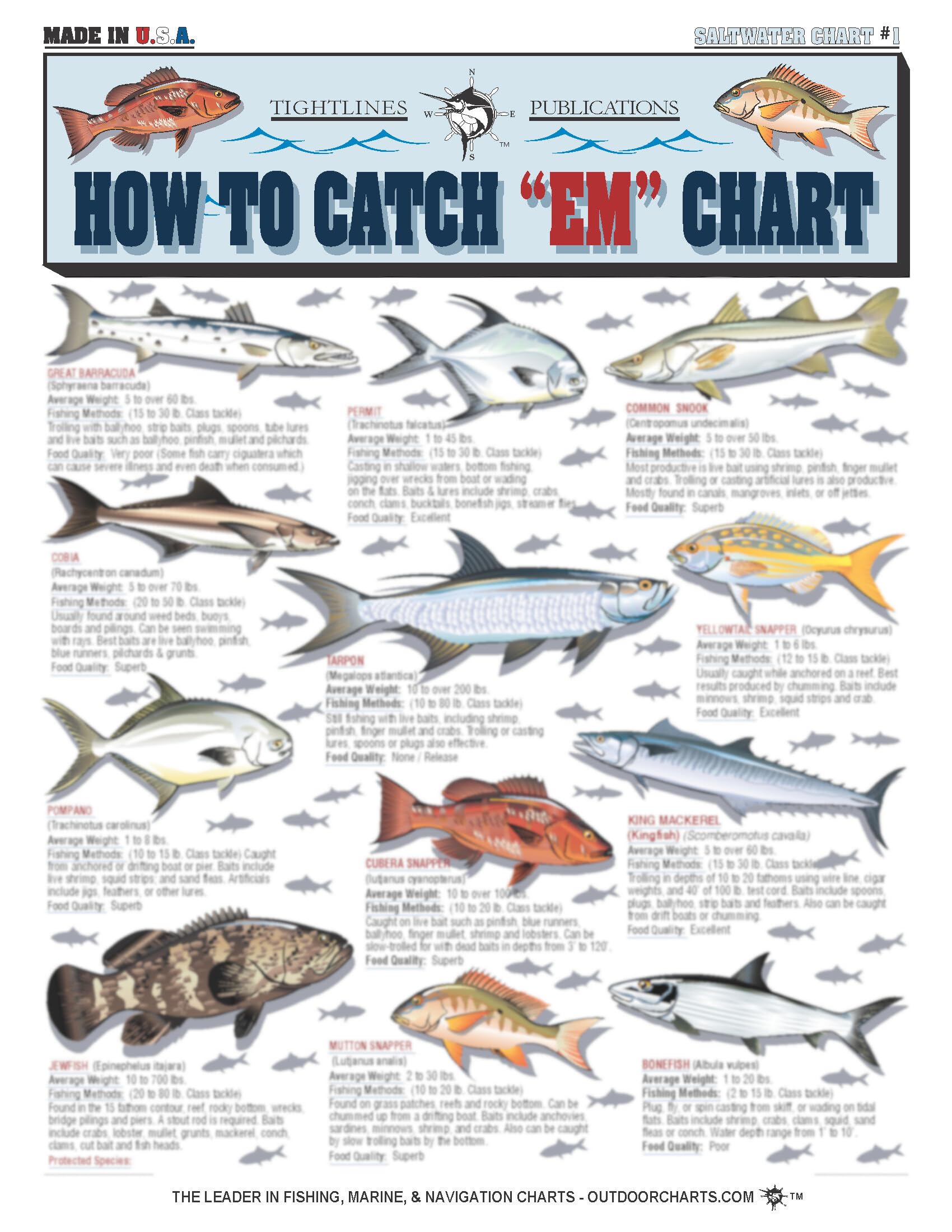Saltwater Fish Identification Chart #1 - Waterproof Quick Reference Fishing Guide - Species ID + Fishing Methods - (Florida, Atlantic, Gulf of Mexico, and Caribbean) - Great Gift for Beginners