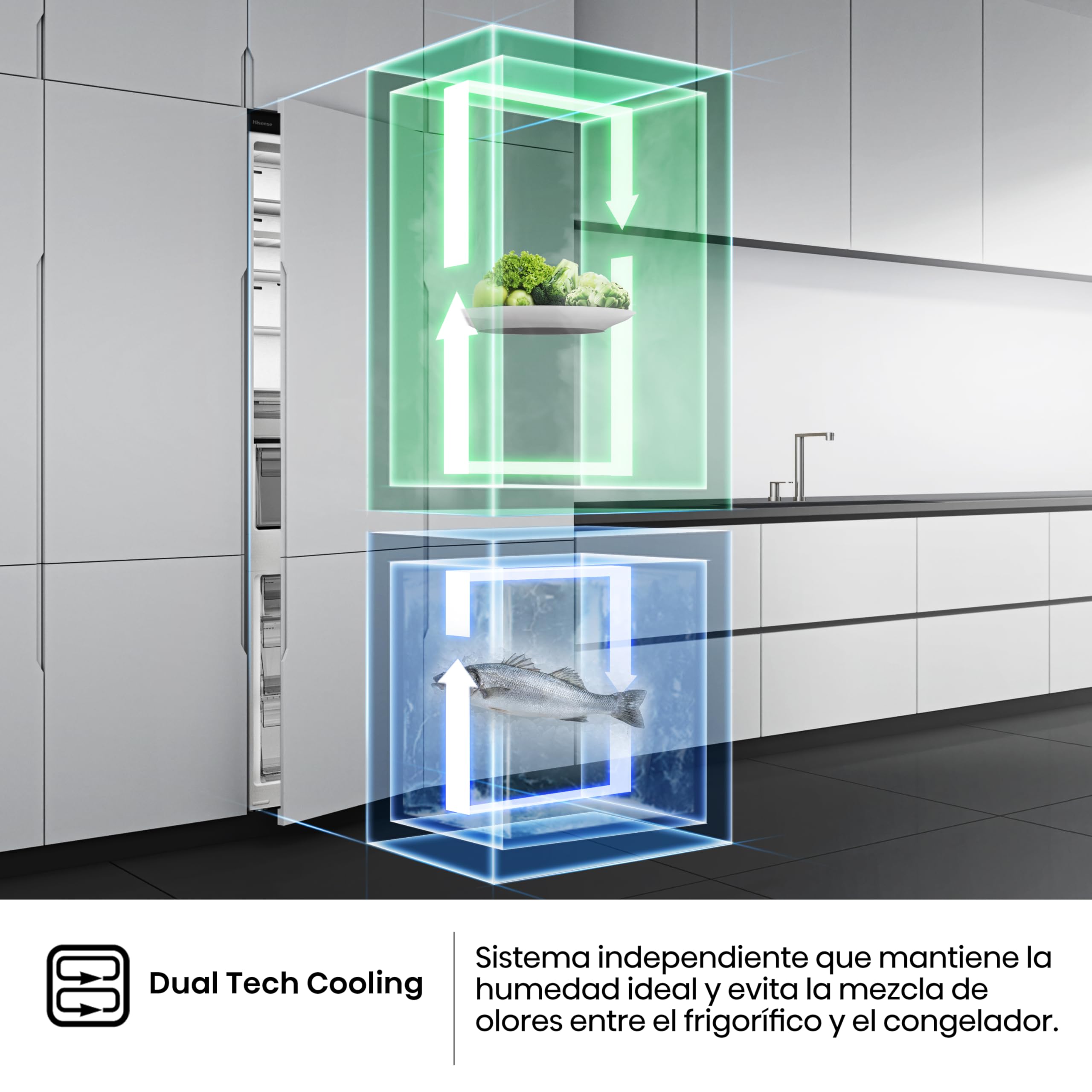 Hisense RB3B250SAWE - Frigoríficos Integrable, Combi, 252L, Class E, Ancho 54cm x Alto 178cm, Cajón Frutas Y Verduras Control De Humedad, Multi Air Flow, Dual Tech Cooling, Motor Inverter