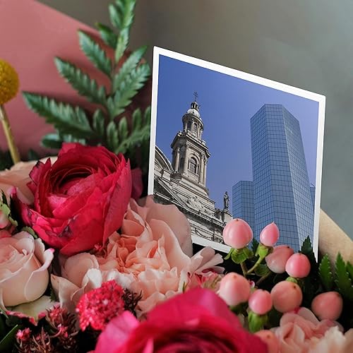 Miniatura 3 de Danita DelimontCatedralesCatedral De metropalitan, Santiago, ChileSA05ssm0143Scott T. SmithTarjetas de felicitación