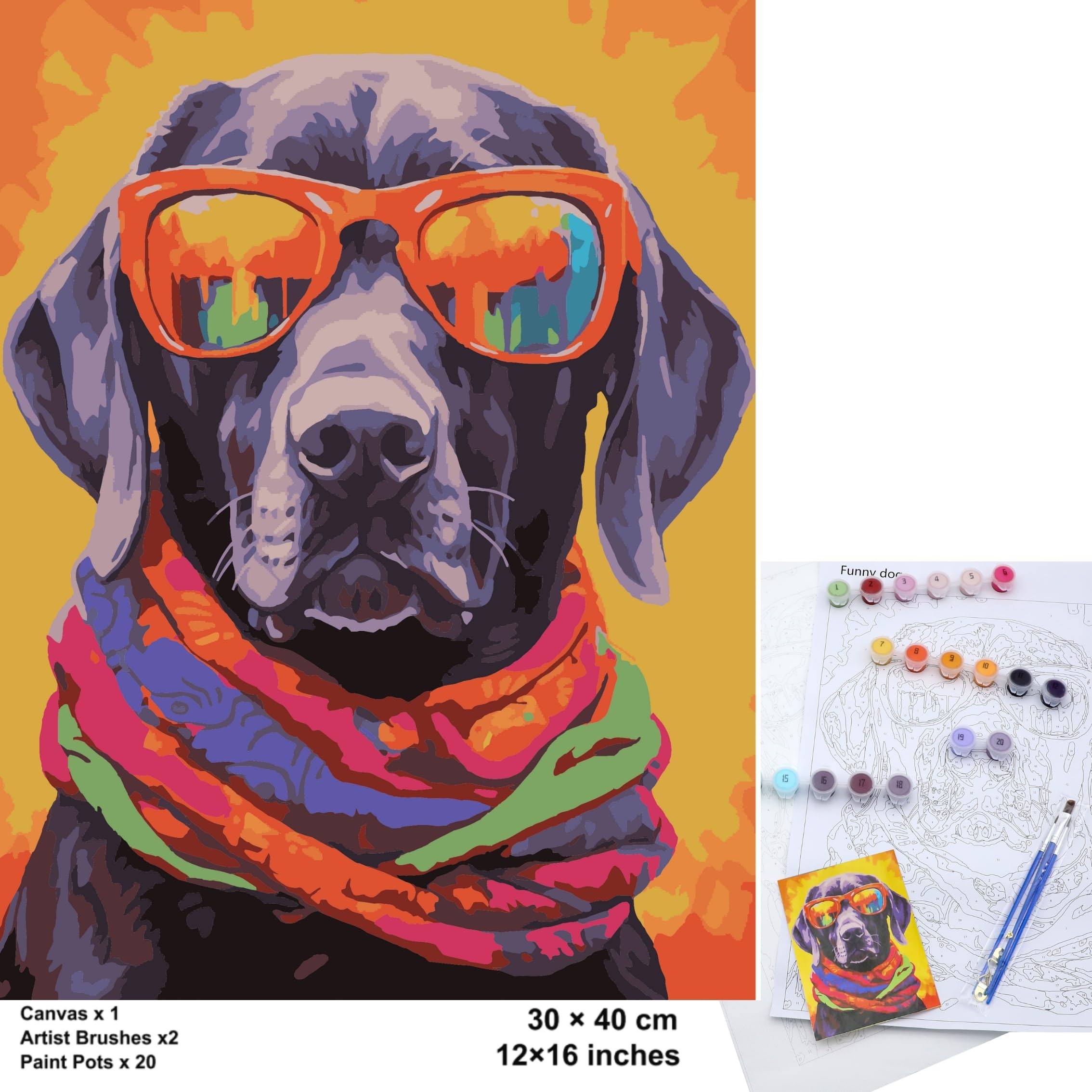 EXERZ Rolled Up Canvas Paint by Numbers – 30x40cm | 20 Colours, 2 Brushes, Compact Gift Box – Ideal Travel Art Set for Kids & Adults, Beginners & Artists (Funny Dog)