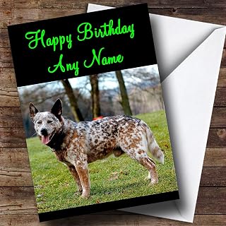 Australian Cattle Dog Personalized Birthday Card |Custom Greetings Card Personalized Holiday Cards, Birthday Cards, Christmas Cards, Lots of Designs| Standard Or Jumbo Large Personalized Card