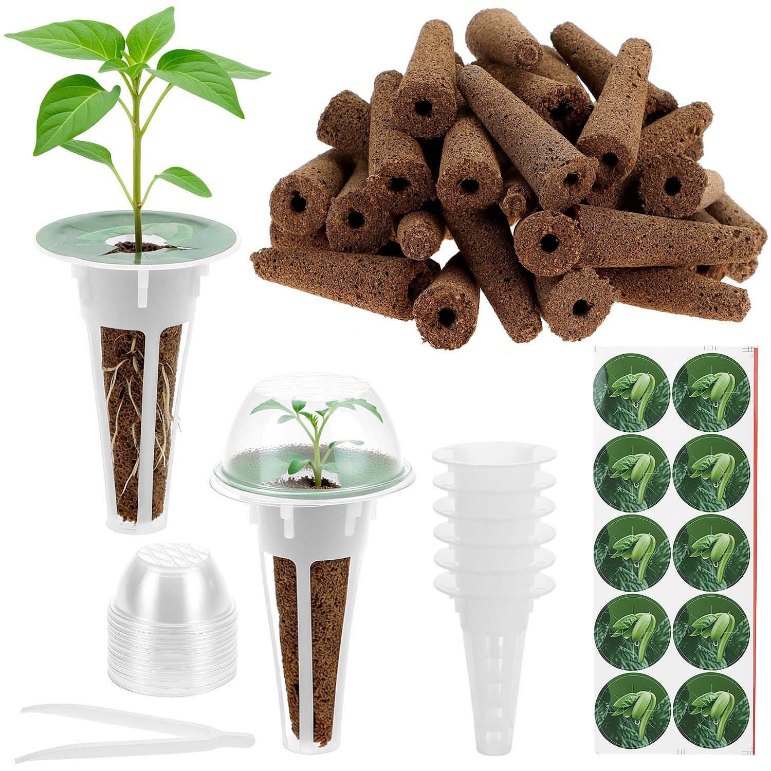 QWORK® 125 Pièces Kit de Germination Hydroponique
