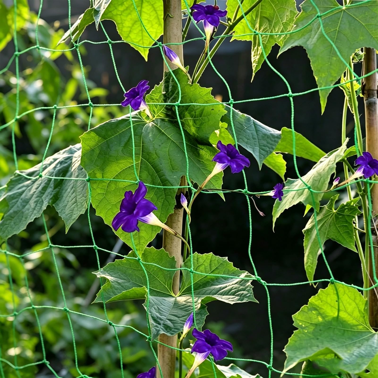 Rete Traliccio PE Piante Maglia Quadrata Resistente Crescita Giardino per