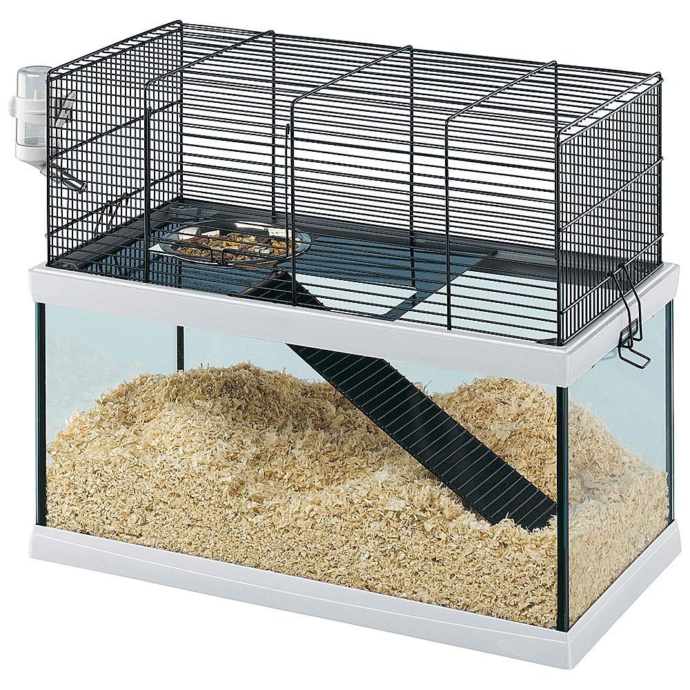 Ferplast Gabbia Roditori GABRY 50 per Gerbilli, Criceti, in Metallo e Vetro, Accessori inclusi: Ciotola, Beverino, Ripiano, Scaletta. 52x27xh44cm