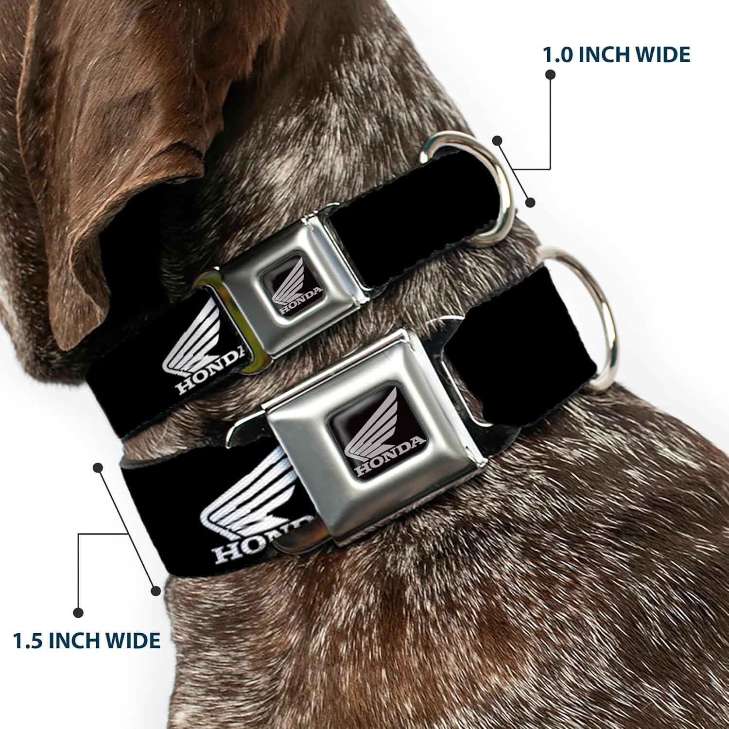 Buckle-Down Seatbelt Buckle Dog Collar - HONDA Motorcycle Logo Black/White - 1" Wide - Fits 9-15" Neck - Small
