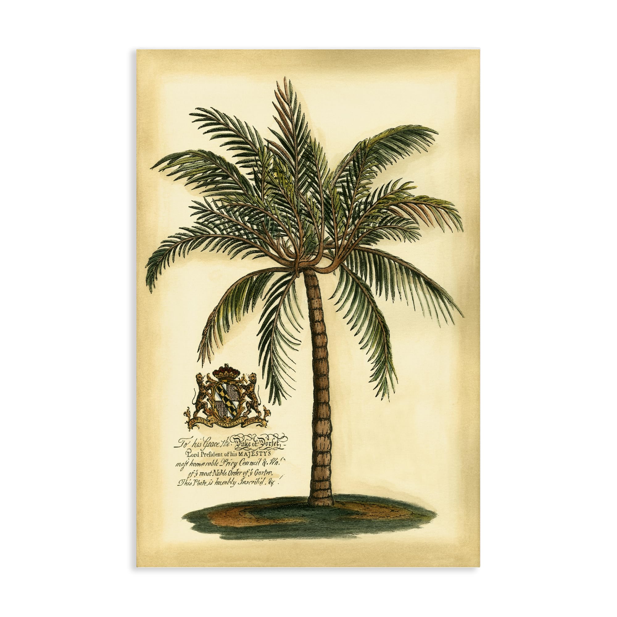 Stupell Industries Unframed 'British Colonial Palm'| Canvas Art