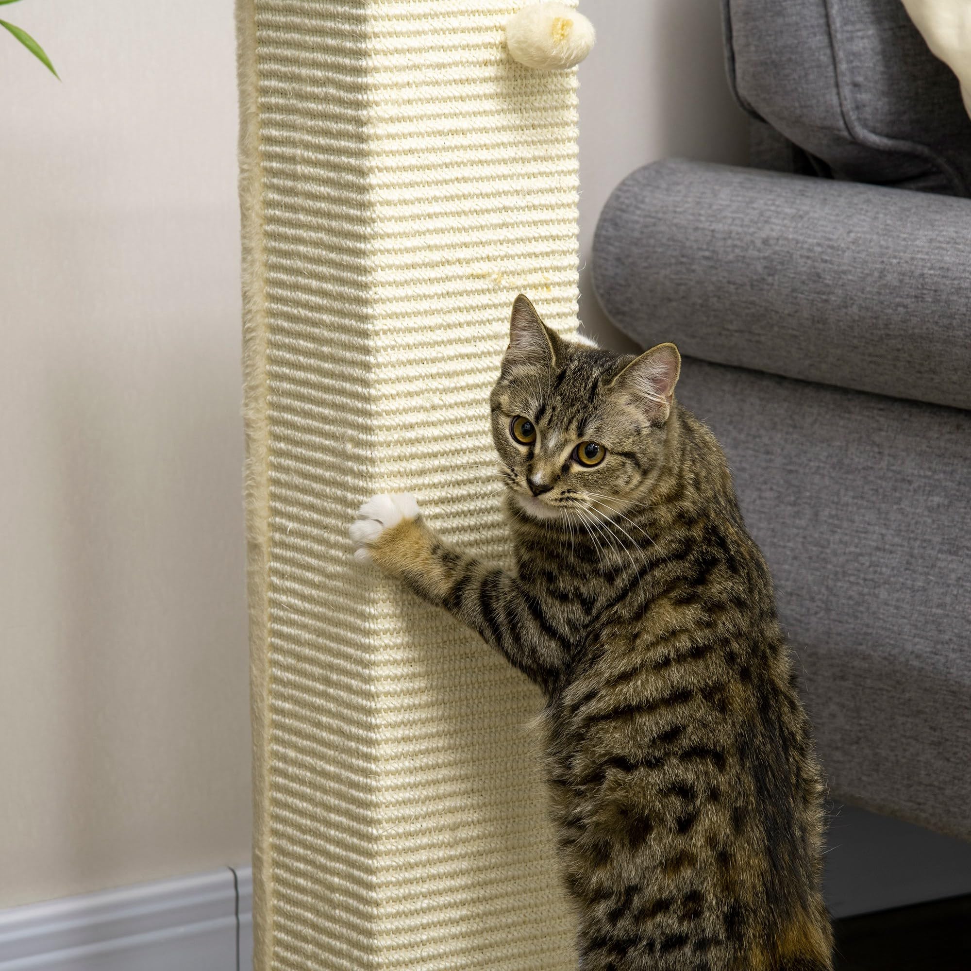 PawHut Kratzsäule 80 cm hoch für Katzen bis 5 kg Sisalseil Eiche+Cremeweiß | Kratzstamm, Kratzbaum, Spielball, Kratzbrett