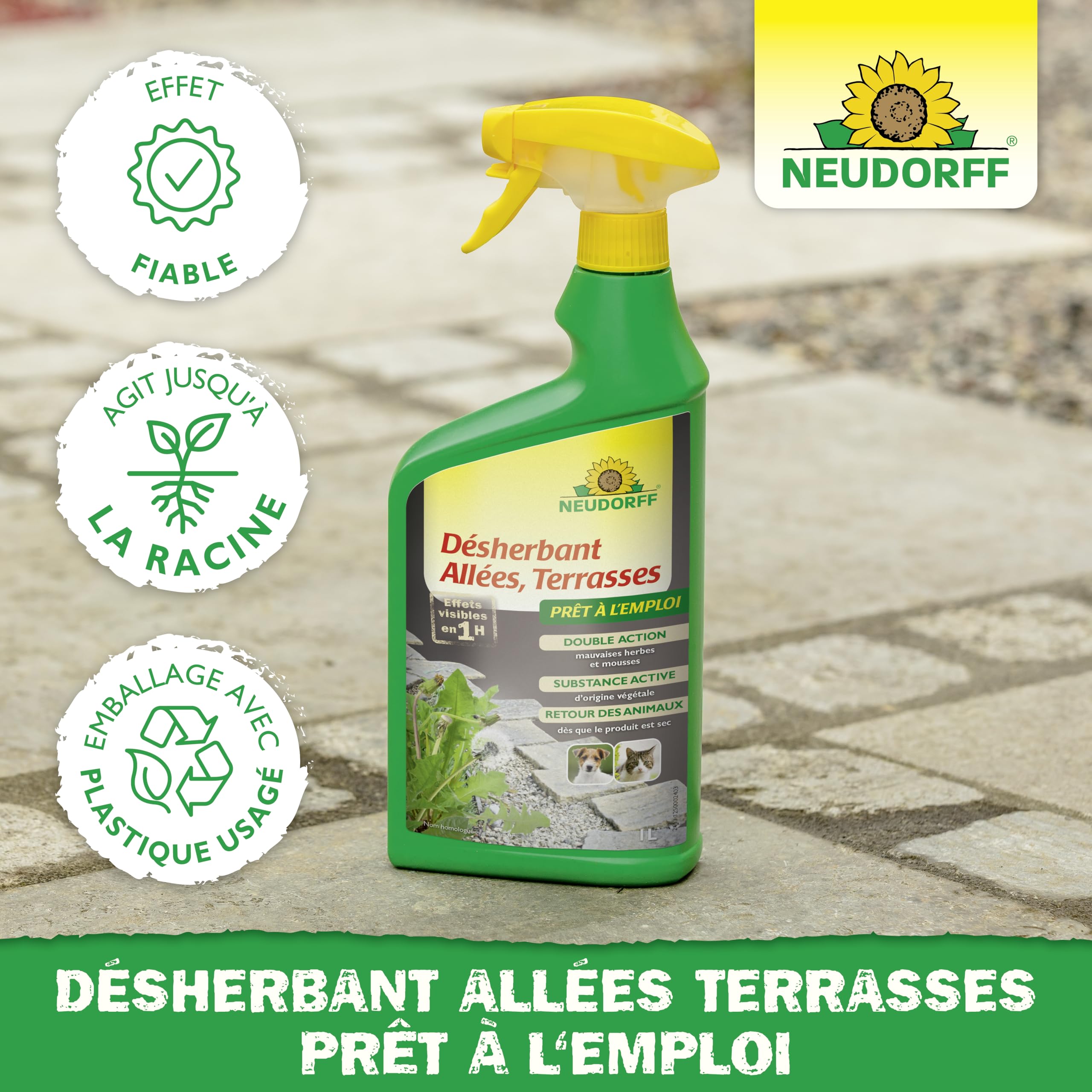 Neudorff Finalsan Désherbant Allées Terrasses 1 L