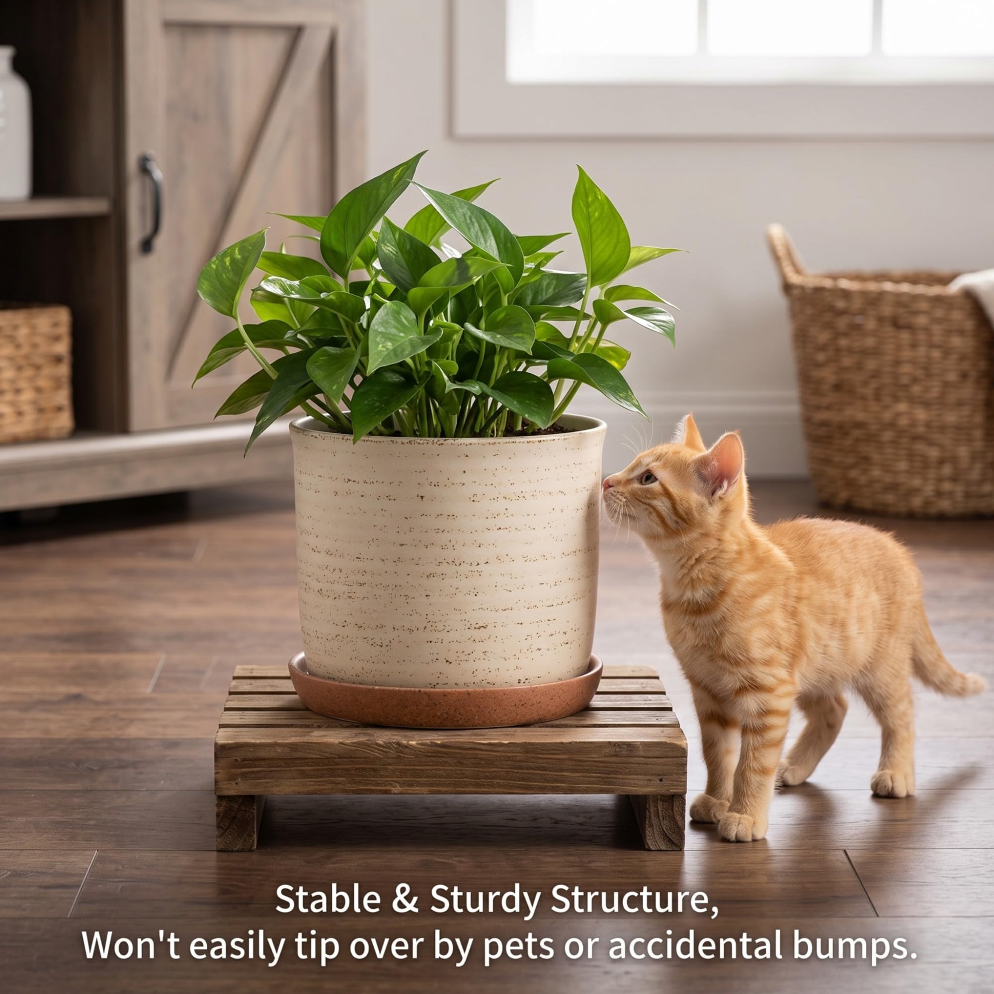20,3 cm Blumentopf: Keramik-Übertopf mit Ablaufloch und Untersetzer, Blumentopf für Innen- und Außenpflanzen mit separatem Tablett für Zuhause und Büro, Pinselfarbe
