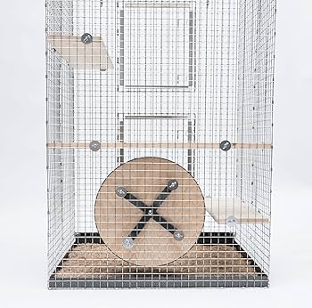 チンチラ　ホイール 61M65m6DypL._UF350,350_QL50_.jpg