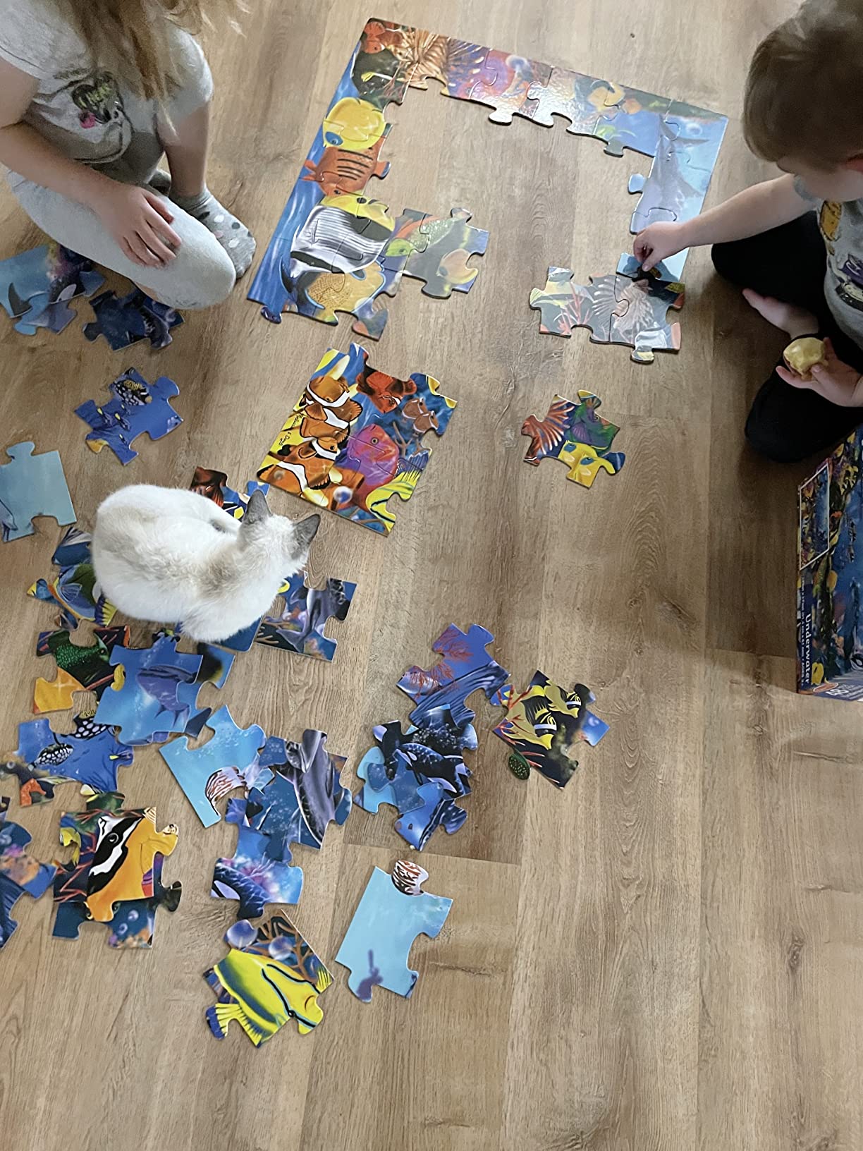 4/mo Finance Melissa & Doug Rainforest Floor Puzzle (48 pcs, 2 x 3