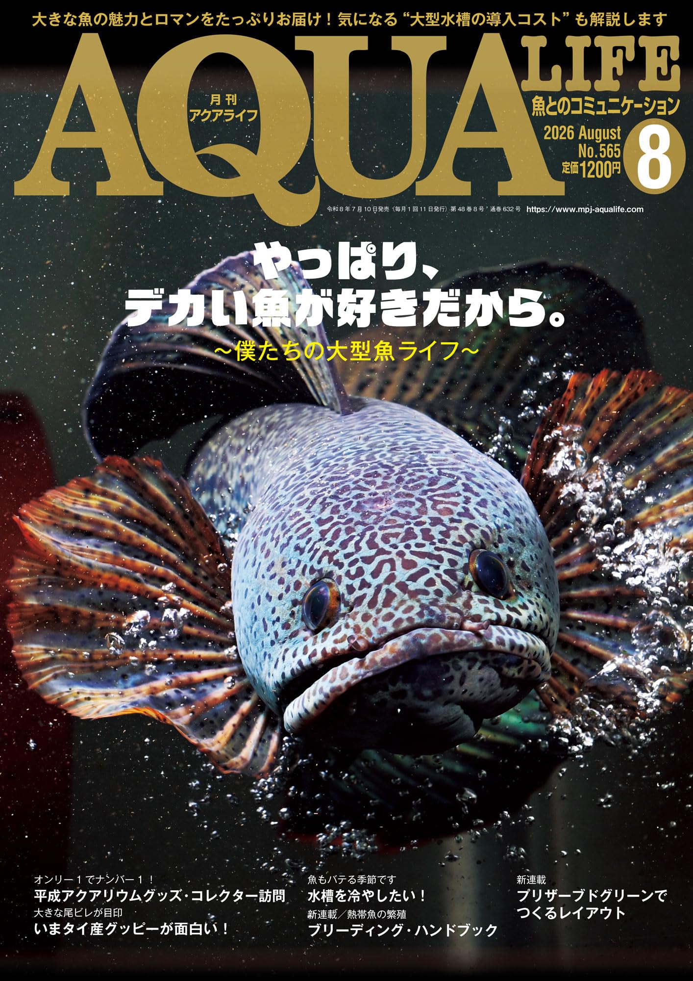 月刊アクアライフ 2026年 08 月号 やっぱり、デカい魚が好きだから