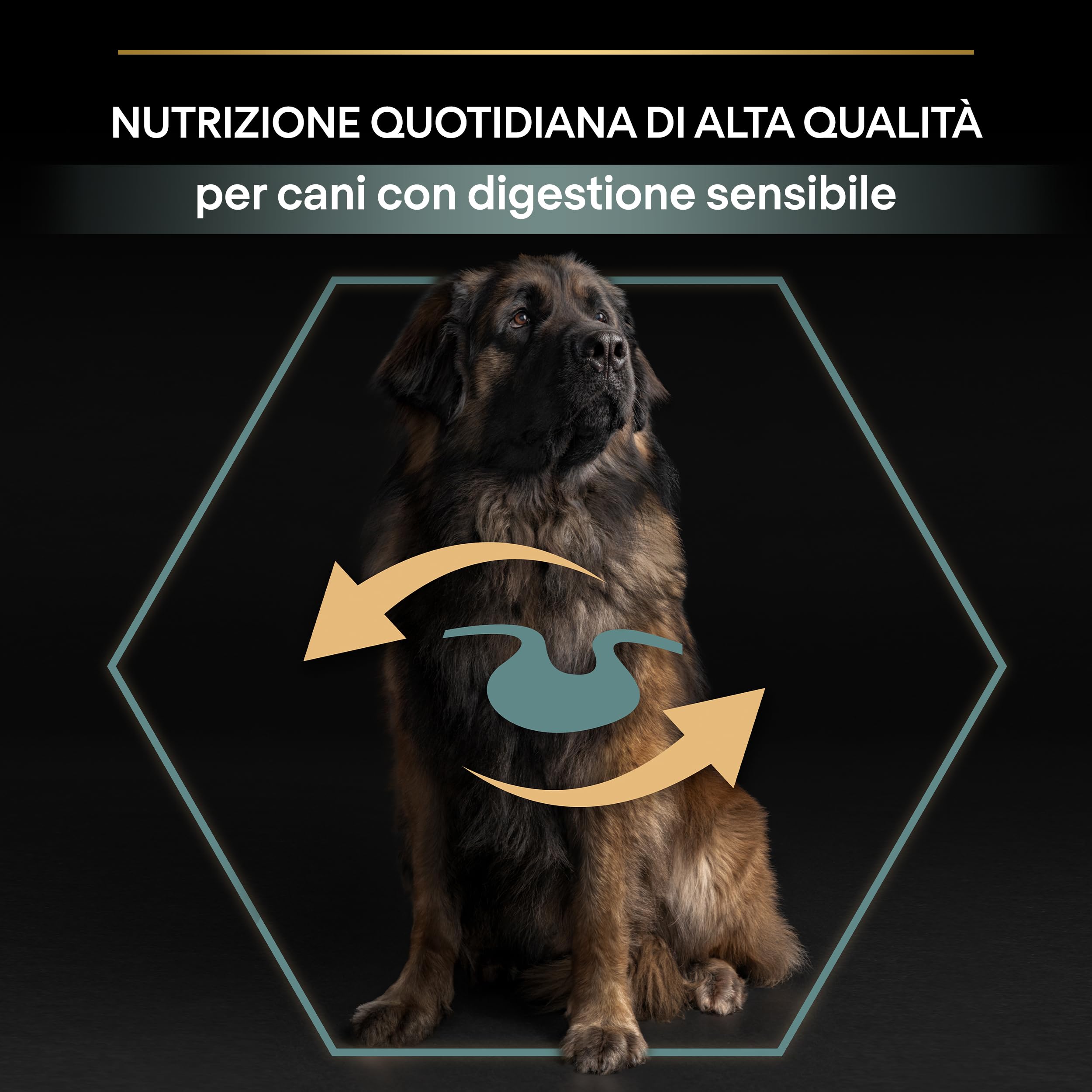 Purina Pro Plan Optidigest Large Robust Adult Crocchette Cani 14 kg