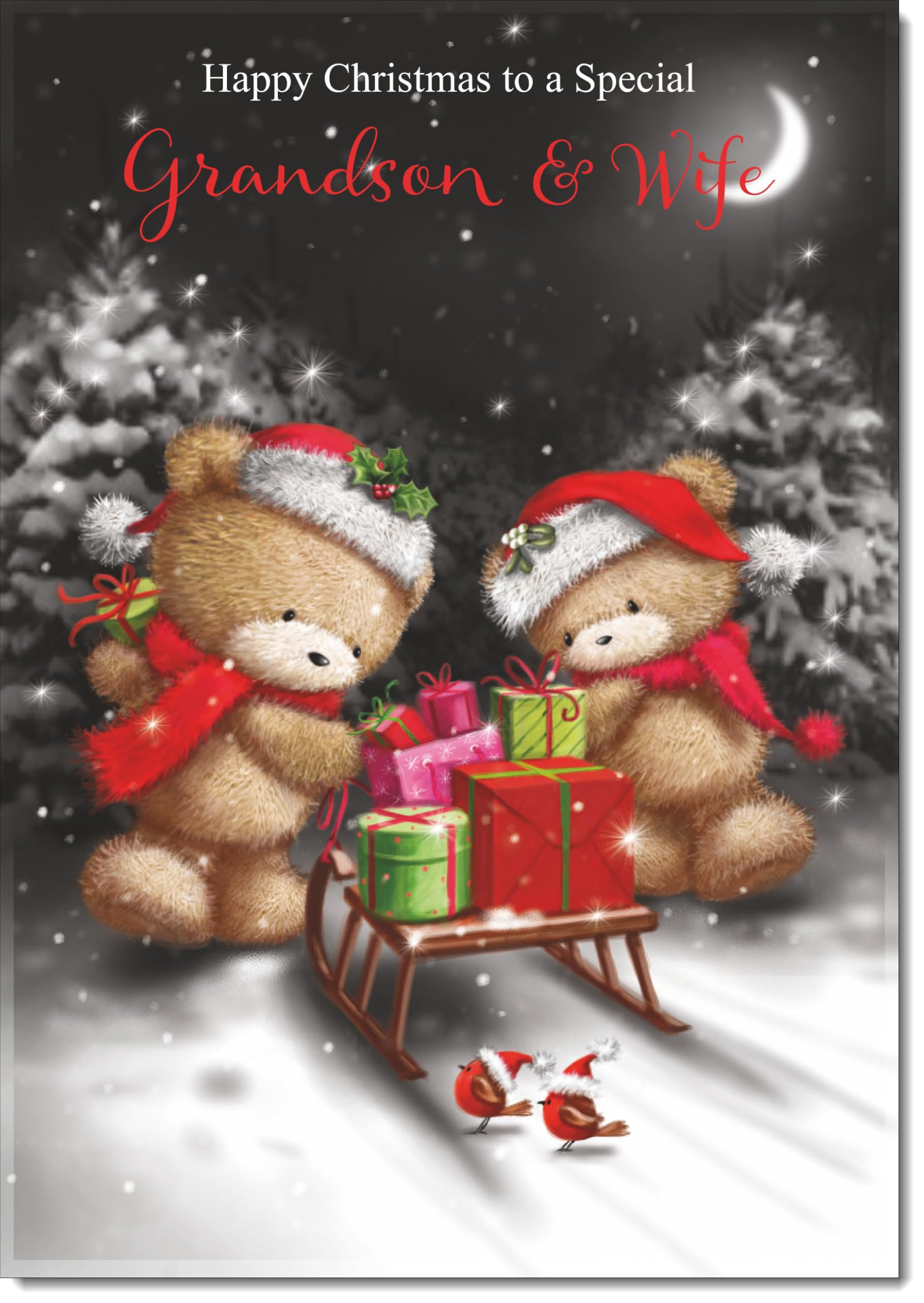 doodlecards Grandson and Wife Christmas Card Cute Bears at Night Large A4 Size Christmas Card for Grandson & Wife with Plain Envelope — image 1