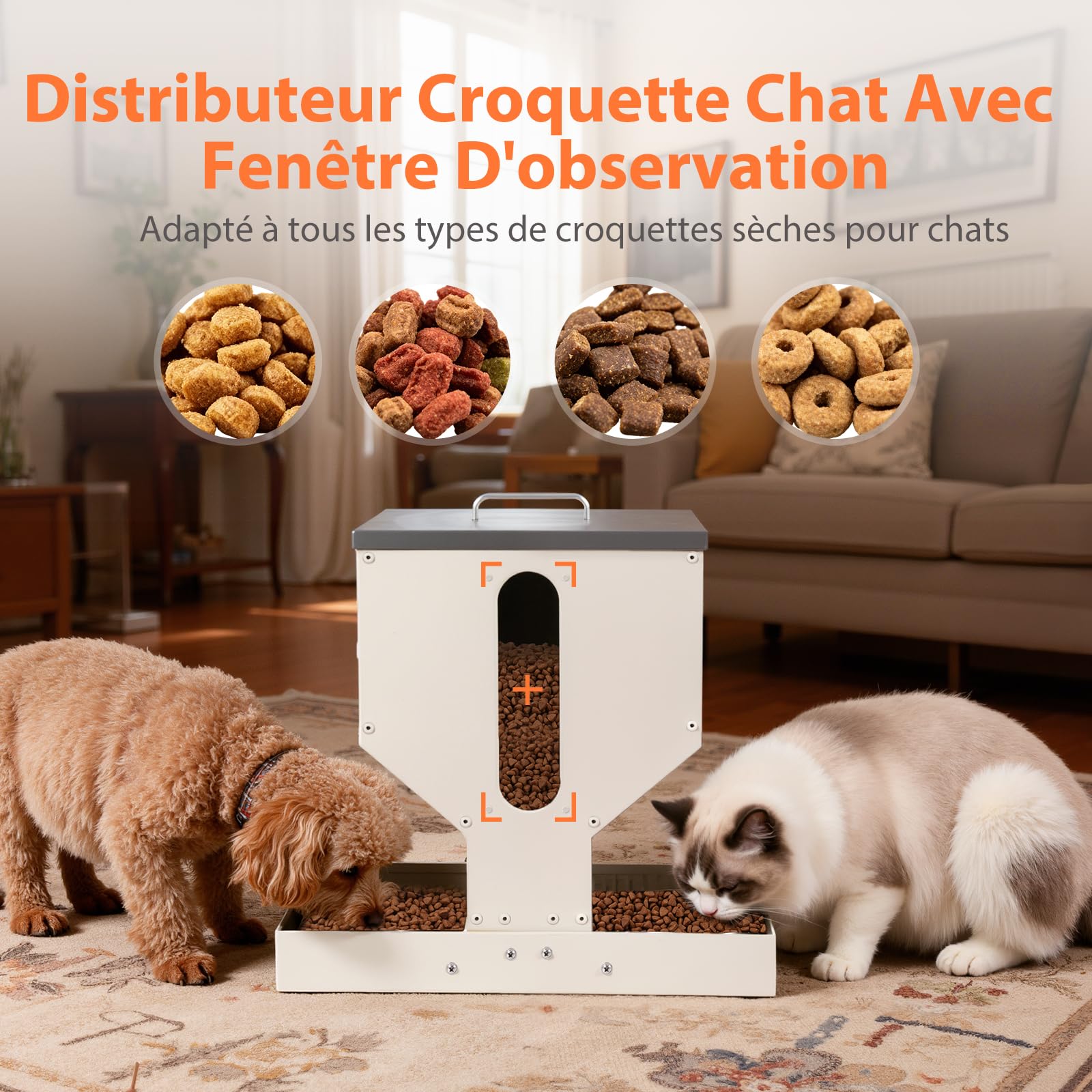 Distributeur Croquettes Chat Automatique, Gamelle Métal, 10L | Mangeoire à 2 Bols, Pour Plusieurs Chats et Petits Chiens, Solide, Simple à Nettoyer