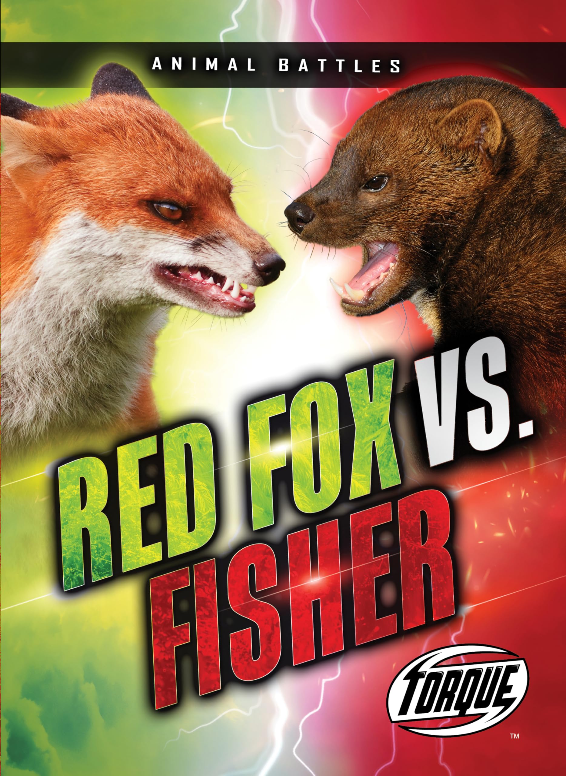 Red Fox vs. Fisher (Animal Battles)