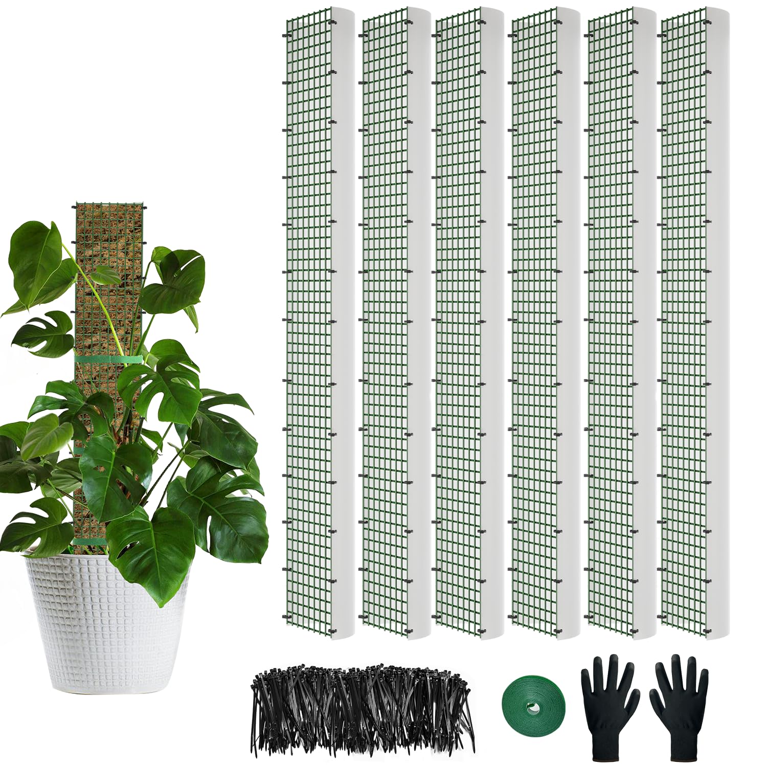 60"/40"/24" Metal Moss Pole, D Shape Sphagnum Moss Pole, Moss Poles for Climbing Plants, Moss Pole for Plants Monstera, Indoor Climbing Plants, Moss Poles Kit (6Pcs 40")