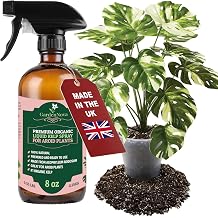 GARDENNOVA Professional Organic Liquid Kelp Spray for AROID Plants - 8 oz - Ready-to-Use Fully Organic Seaweed & Kelp Fertilizer Mist