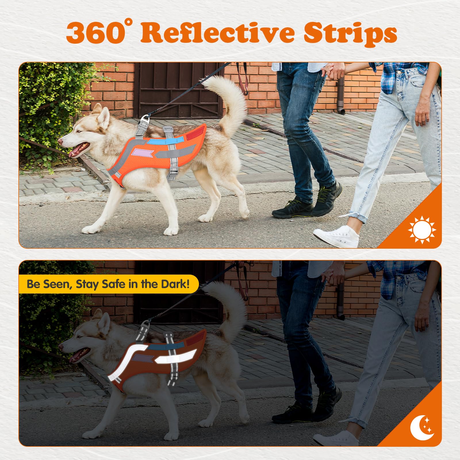 Yellow & Orange Winged Dog Harness - Image 4