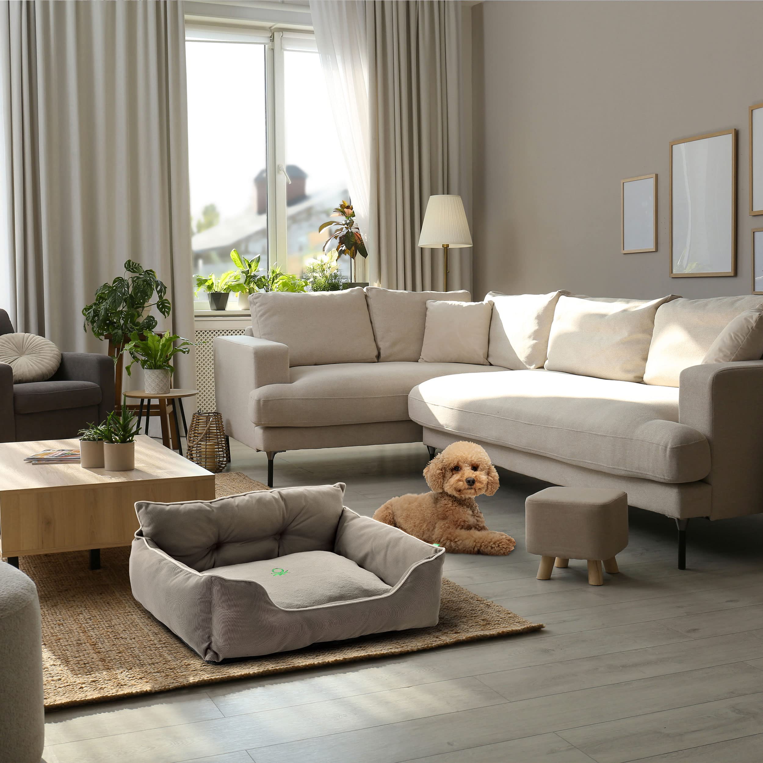 UNITED COLORS OF BENETTON. Pets | Cama para Mascotas | Color Marrón | Medidas 90x70x28 cm | Cama Ergonómica para Perros Grandes | Funda Lavable a Máquina