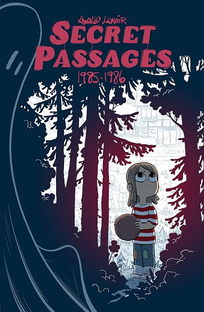 Portada de Secret passages