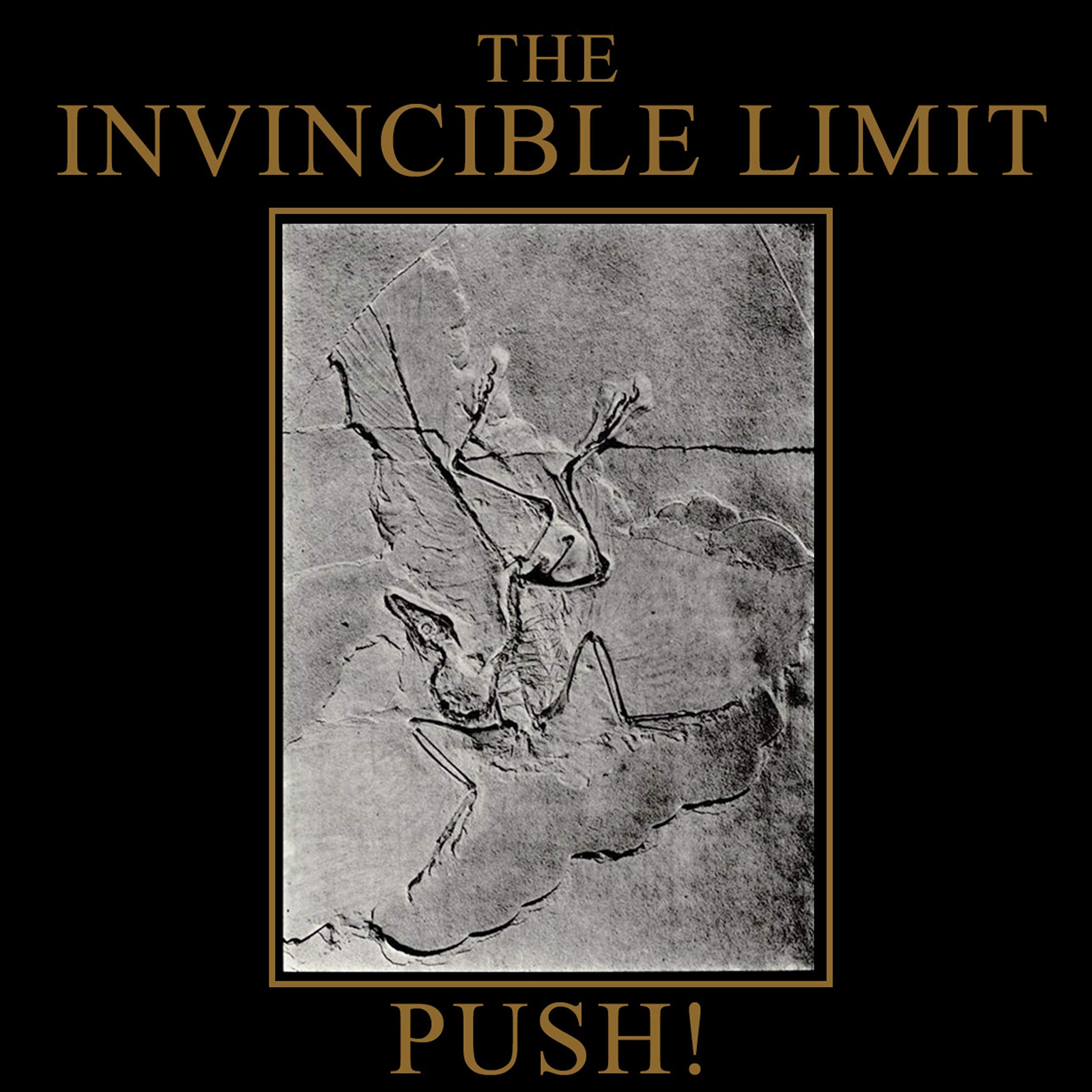 The Invincible Limit