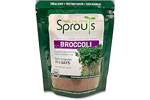 Nature Jim's Organic Broccoli Sprout Seeds: Grow Healthy, Nutritious Sprouts in Days