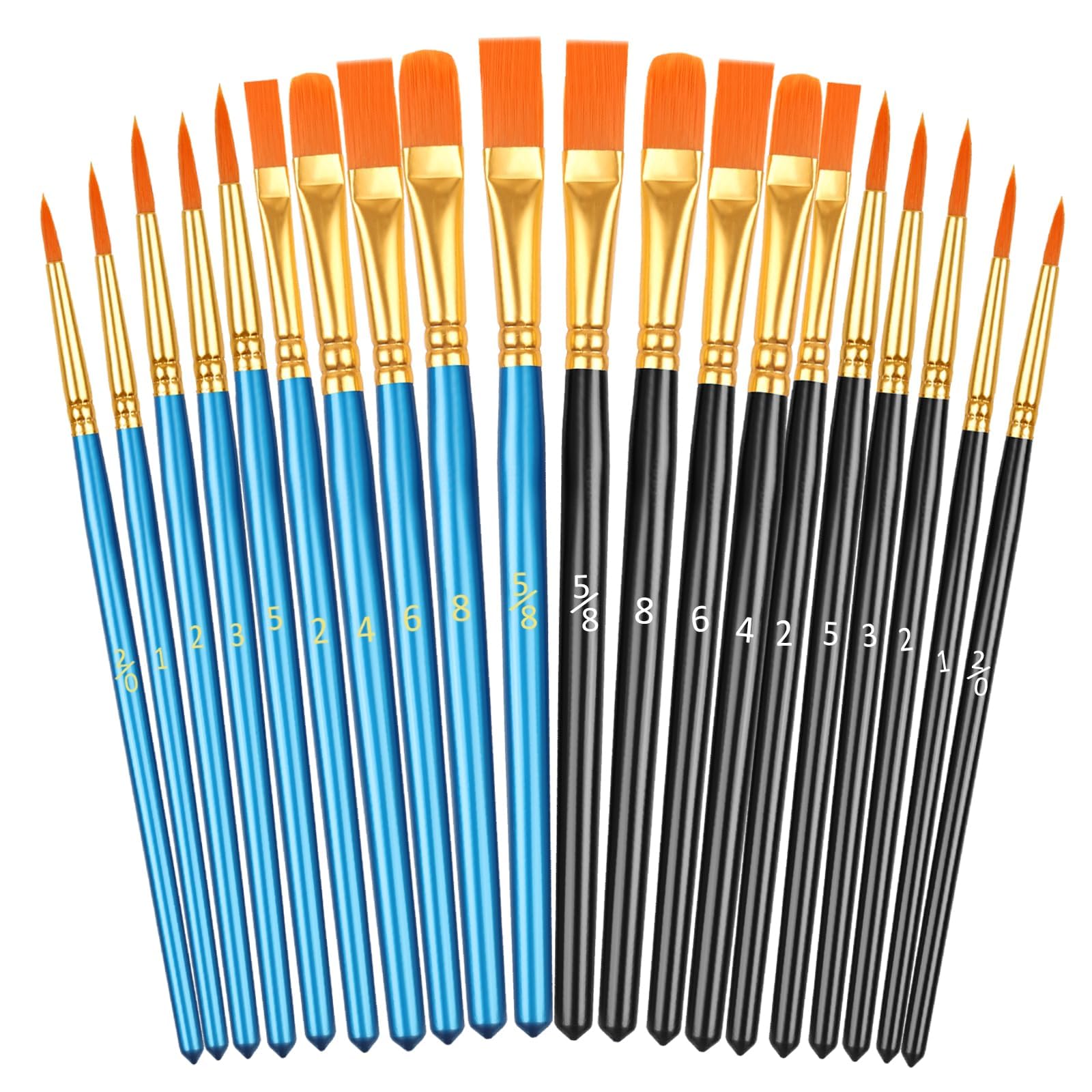 Phinus 20 Piece Paint Brushes, Round Brush, Flat Brush, Acrylic Paint Brush Set, Easy to Draw, Watercolor Brushes, Oil Painting, Plastic Model, Nylon Brushes, Painting, Everyone's Art | Art Paint Brushes for Adults and Kids Blue + Black 20
