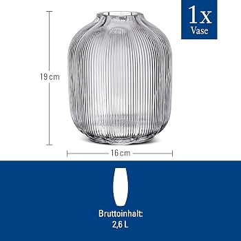 Amazon.com: Villeroy & Boch Fleur Vase 7.5 in Clear, Dishwasher