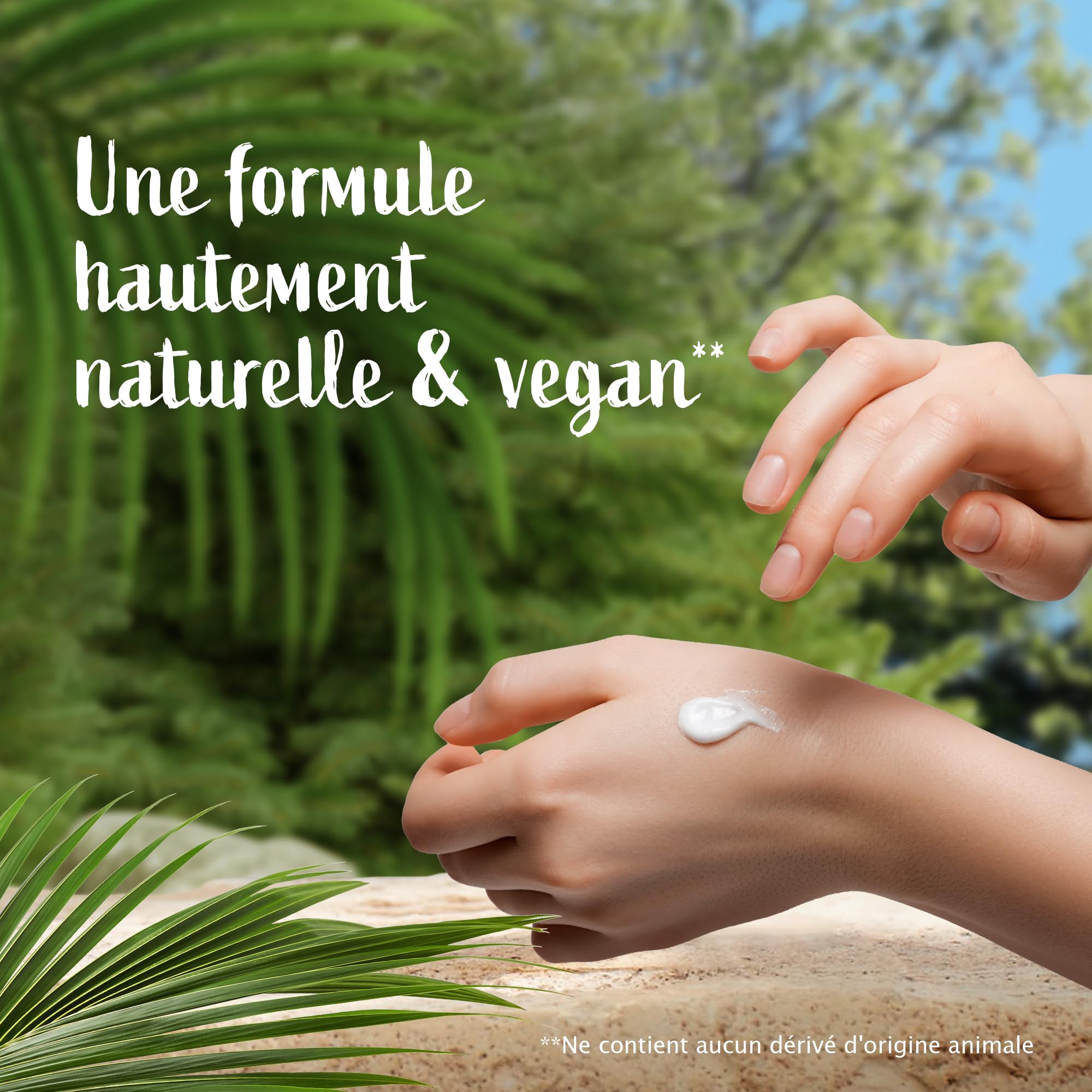 Le Petit Marseillais – Crème Corps Nourrissante Eau de Coco (pot de 380 ml) – Crème hydratante pour peaux sèches – Formule vegan 95% d'origine naturelle