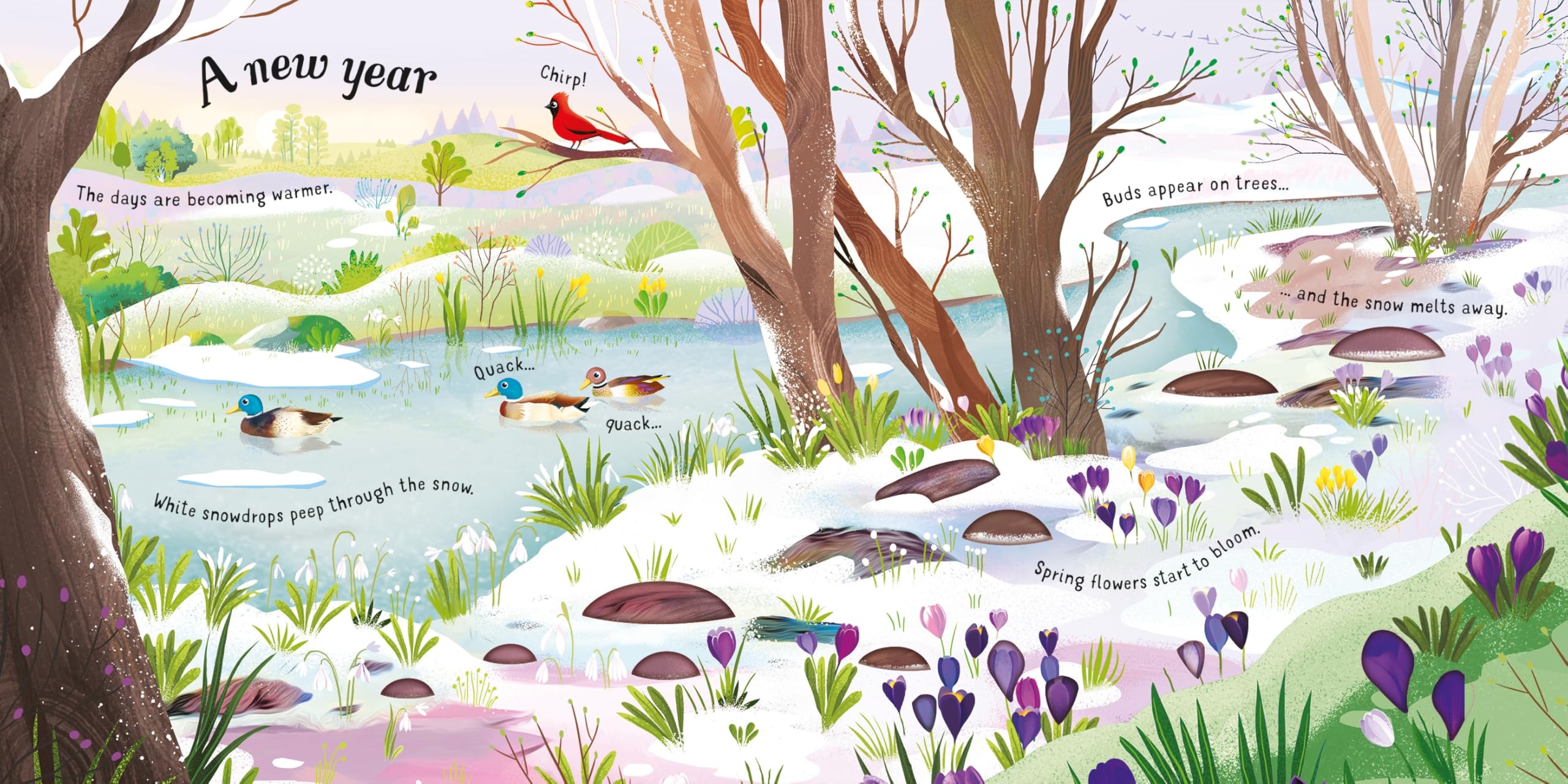Amazon.com: Usborne Books: Sound Books