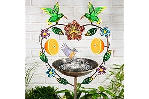 Heart Shaped Bird Feeder Stake