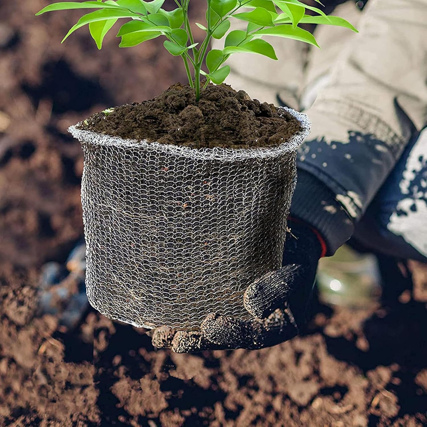3Pcs 3 Gallon Gopher Wire Speed Baskets, 304 Stainless Steel Mesh Basket Anti Gopher and Vole Garden Net Plant Root Protection, Knitted Wire Speed Baskets image 3