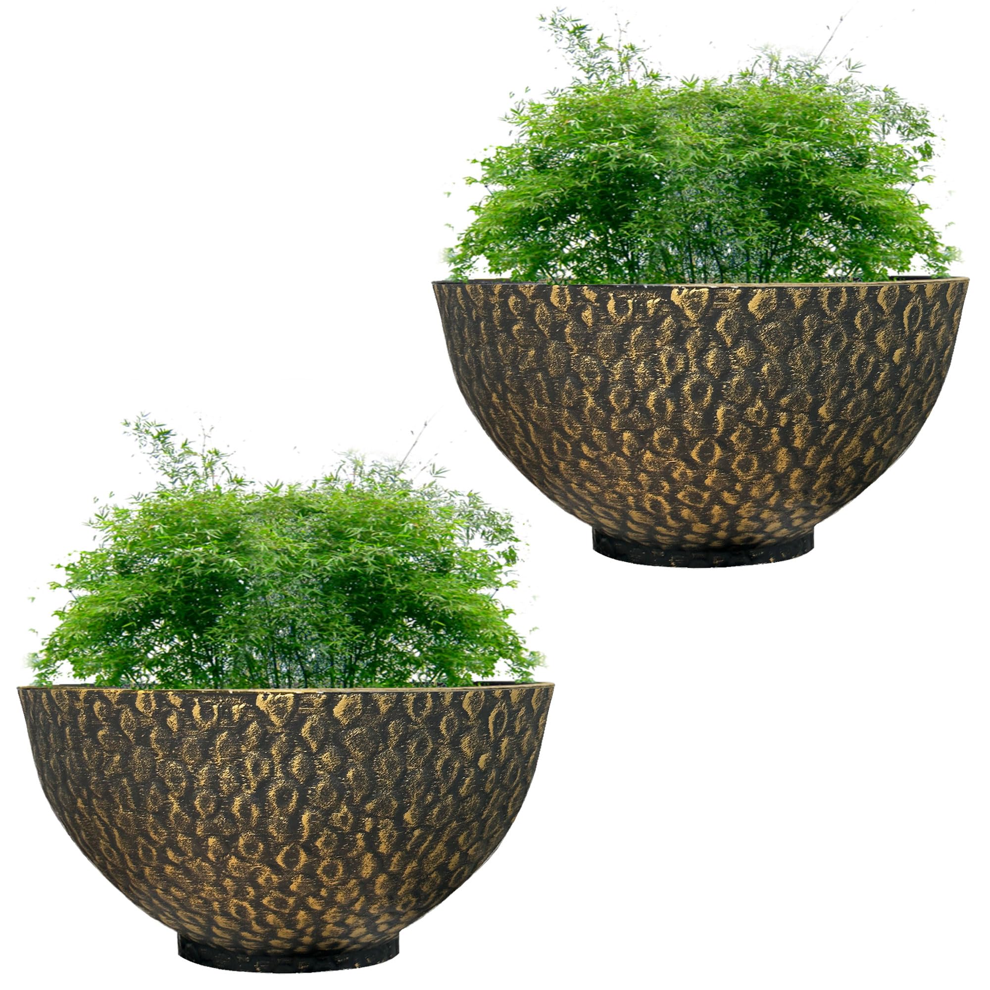 Cathay Bowl Plant Pot - Large Elegant Design, Outdoor Planters With Drainage Holes, Versatile Flower Pots for Garden Decoration (25cm - Black Gold)