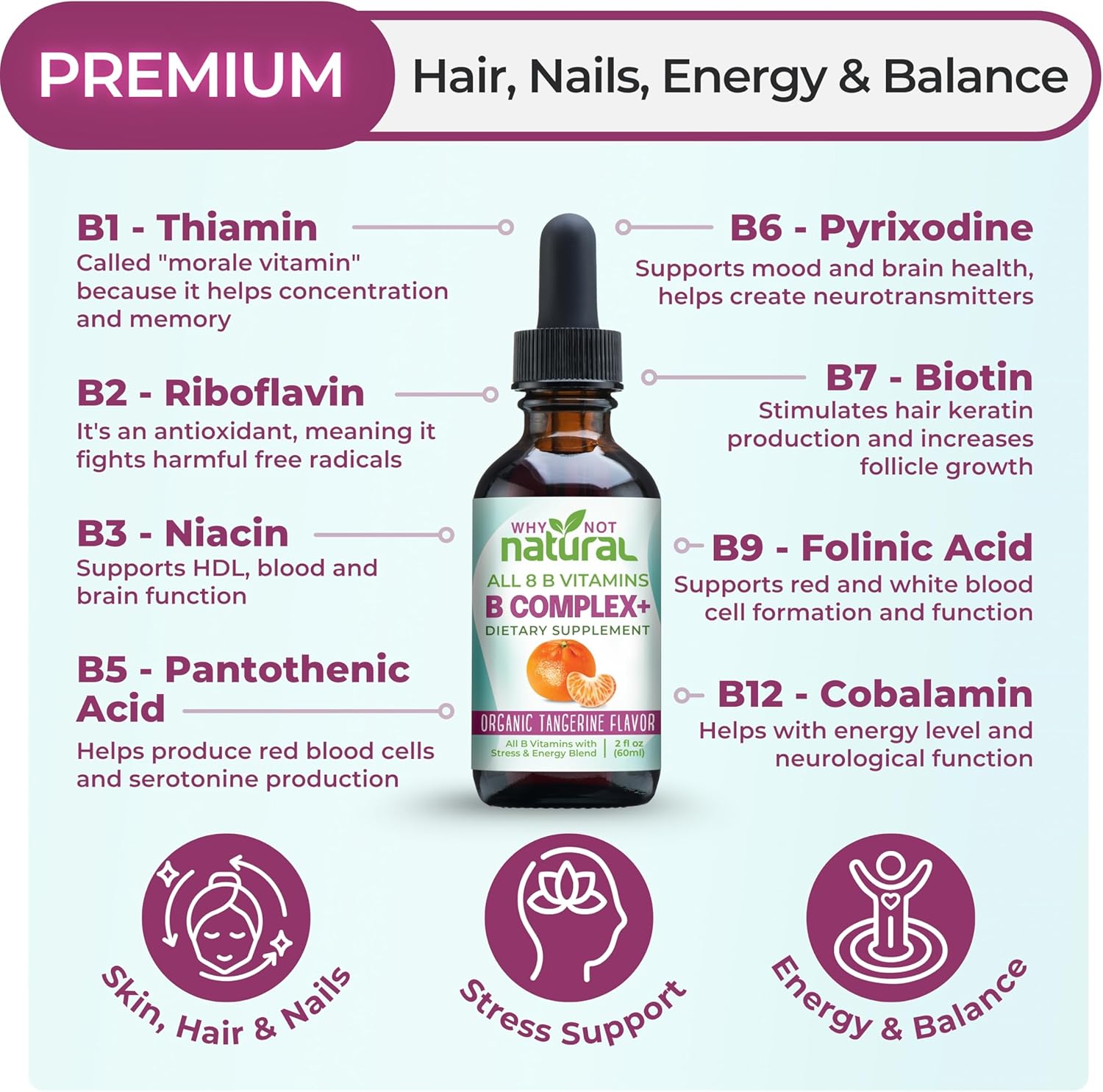 Why Not Natural Vitamin B Complex Liquid Drops - Supplement for Women - Vegan and Sublingual Forms of B1 B2 B3 B5 B6 Biotin Folate and Choline - Plus Blend for Energy Support - Image 2