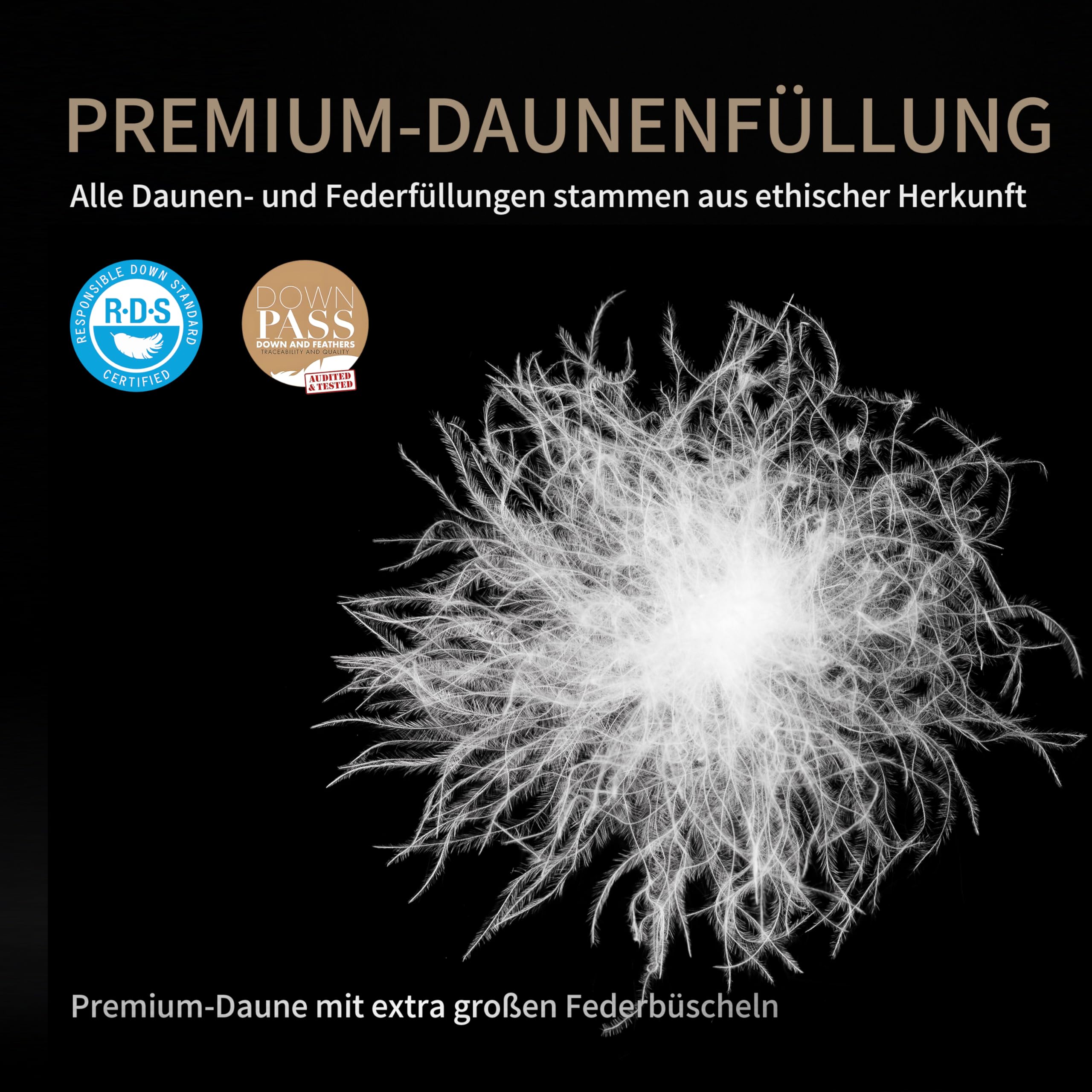 SAPHREAS Federn & Daunen Bettdecke 135x200 cm Ganzjahres, Baumwollgewebe mit Federn Daunen Füllung, Oeko-Tex, RDS Zertifiziert für Tierwohl Daunendecke Federbettdecke weiße