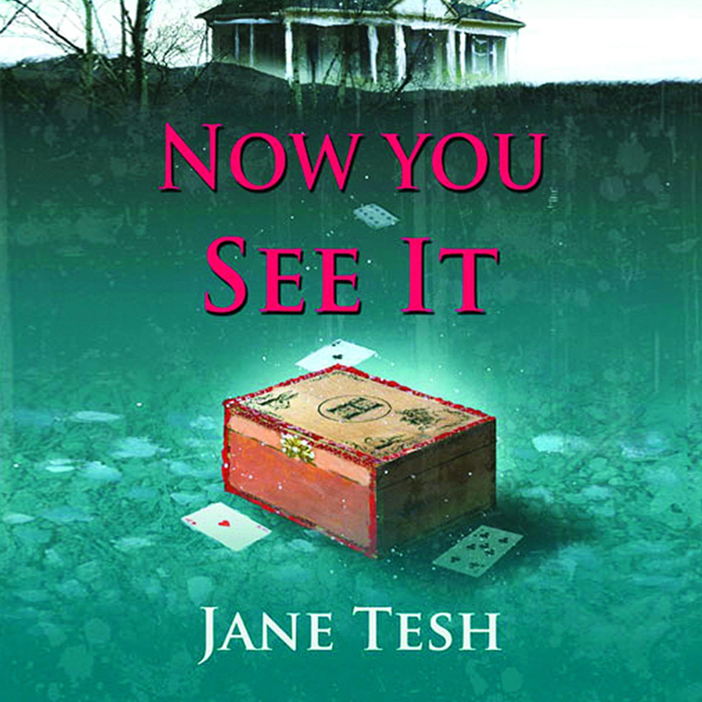 Cover art for Now You See It
