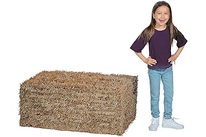 Fun Express Collapsible Hay Bales: The Picture-Perfect Decoration for Every Occasion
