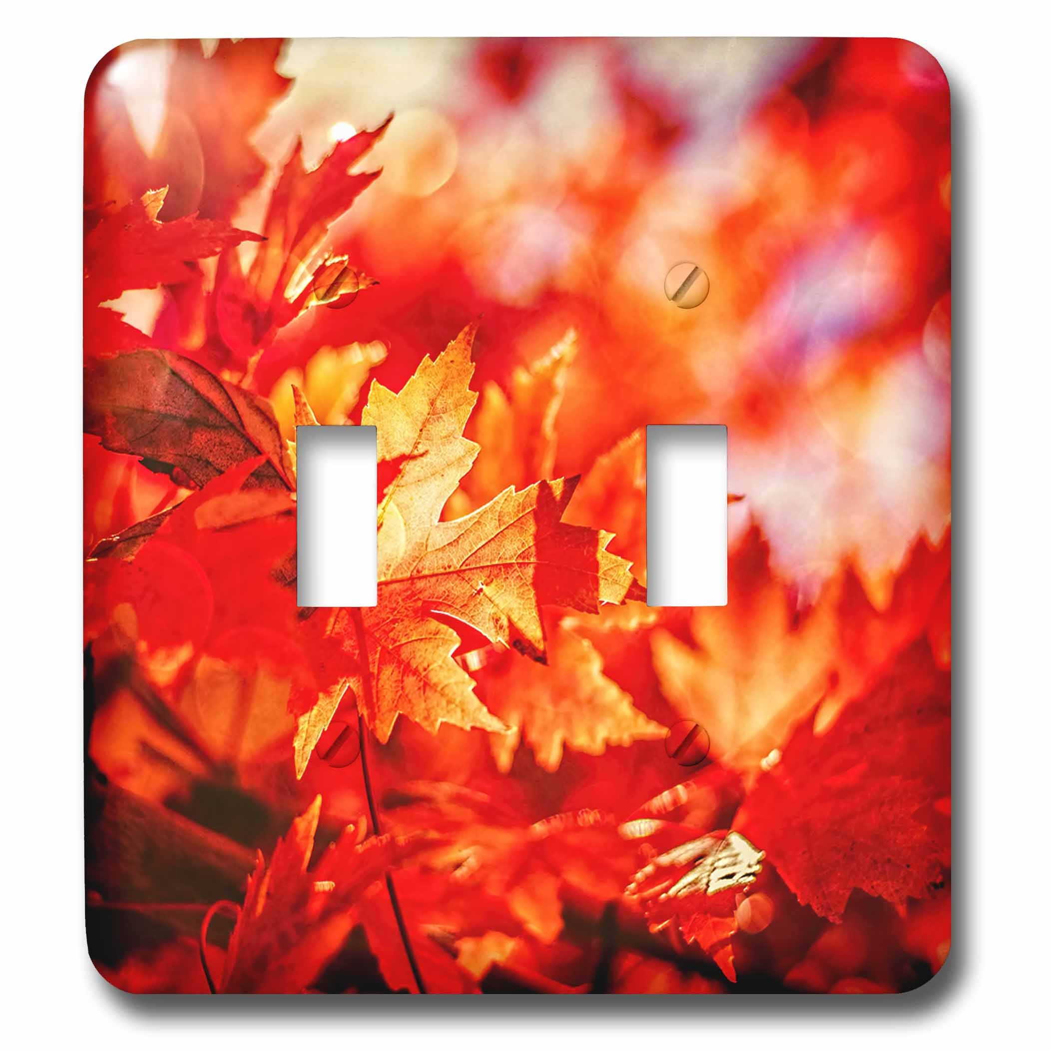 Interrupteur à bascule 3dRose Lsp_253483_2 aux motifs de feuilles d'automne