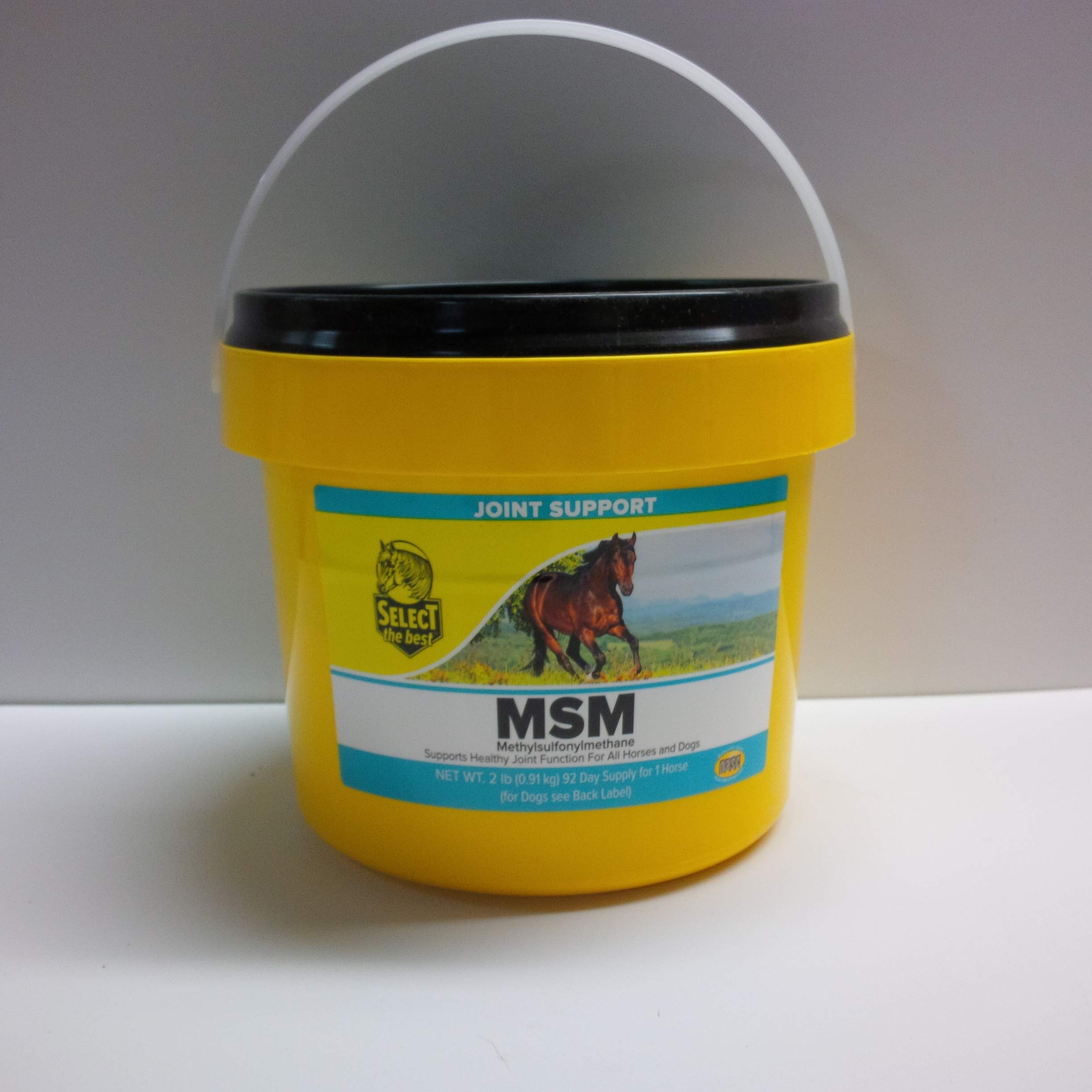 Select the Best Msm Powder Joint Support For Horses, 2 Pound Container