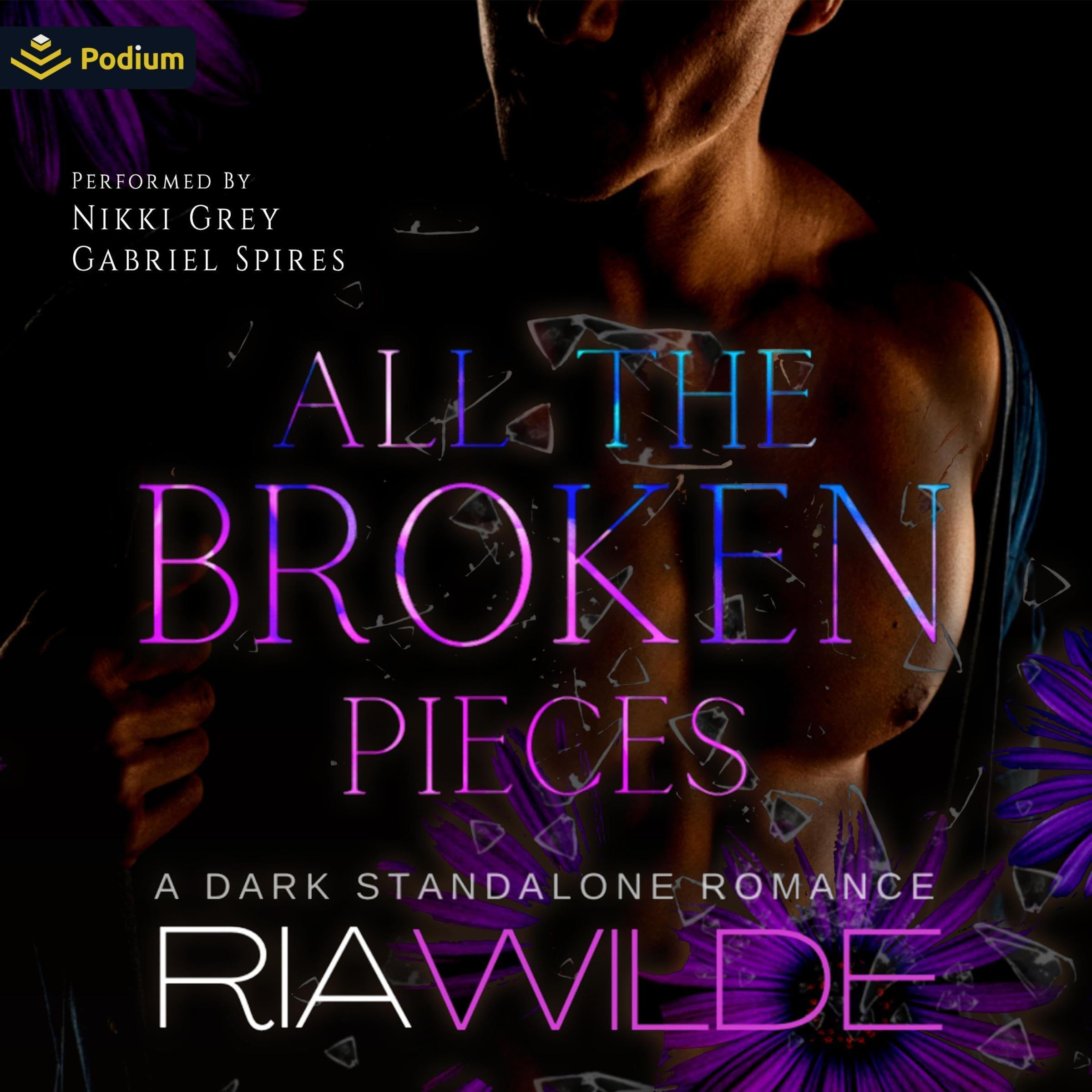 Cover art for All the Broken Pieces
